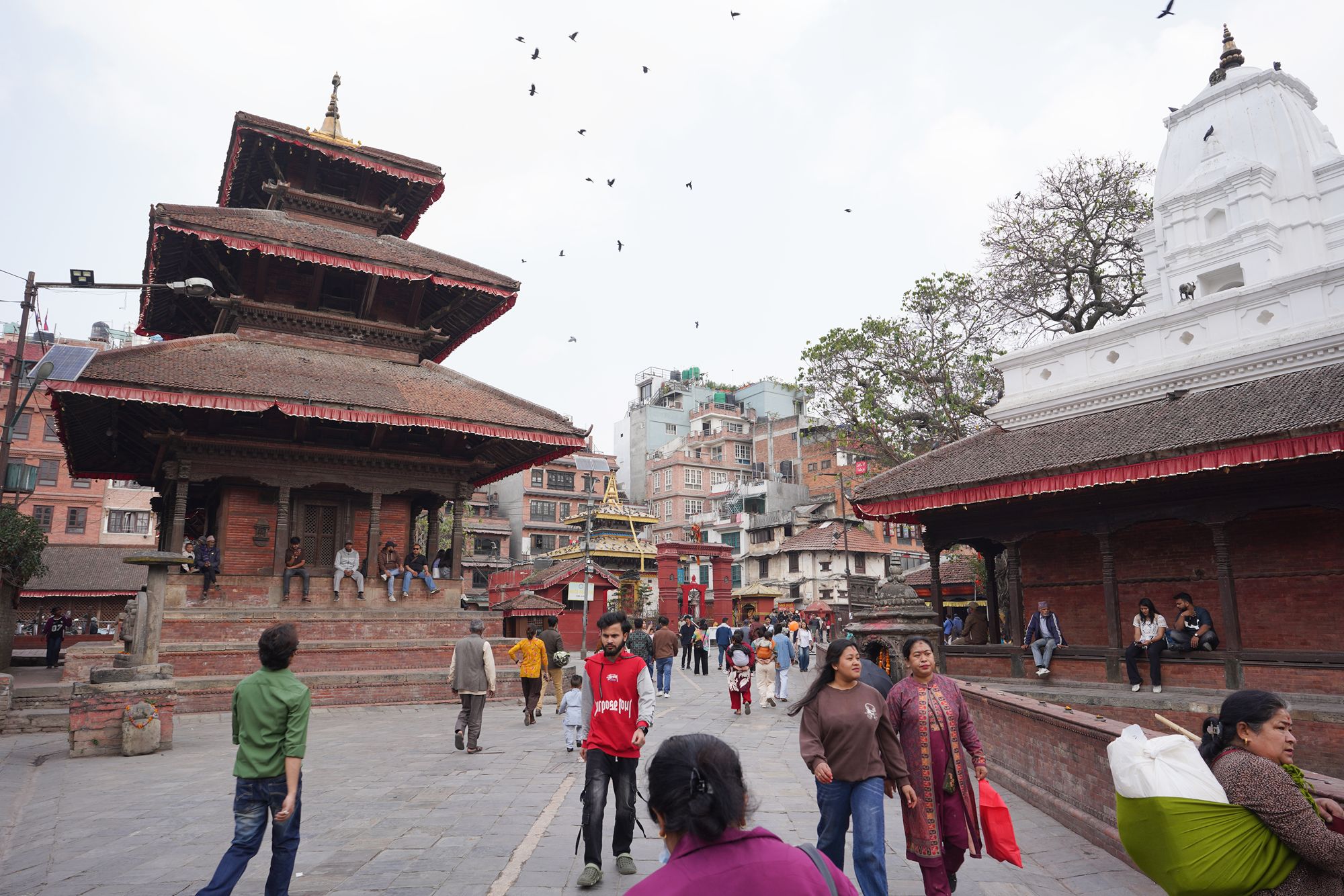 Kathmandu Thamel Area, Durbar Square (102)