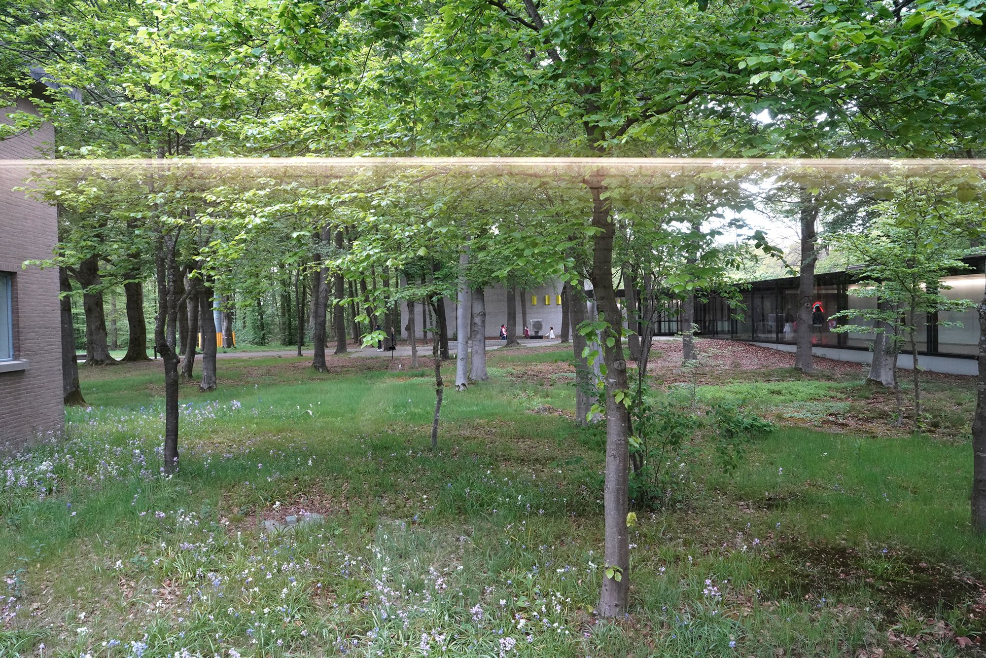 Kröller-Müller Museum I (140) Kröller-Müller Museum I (140)