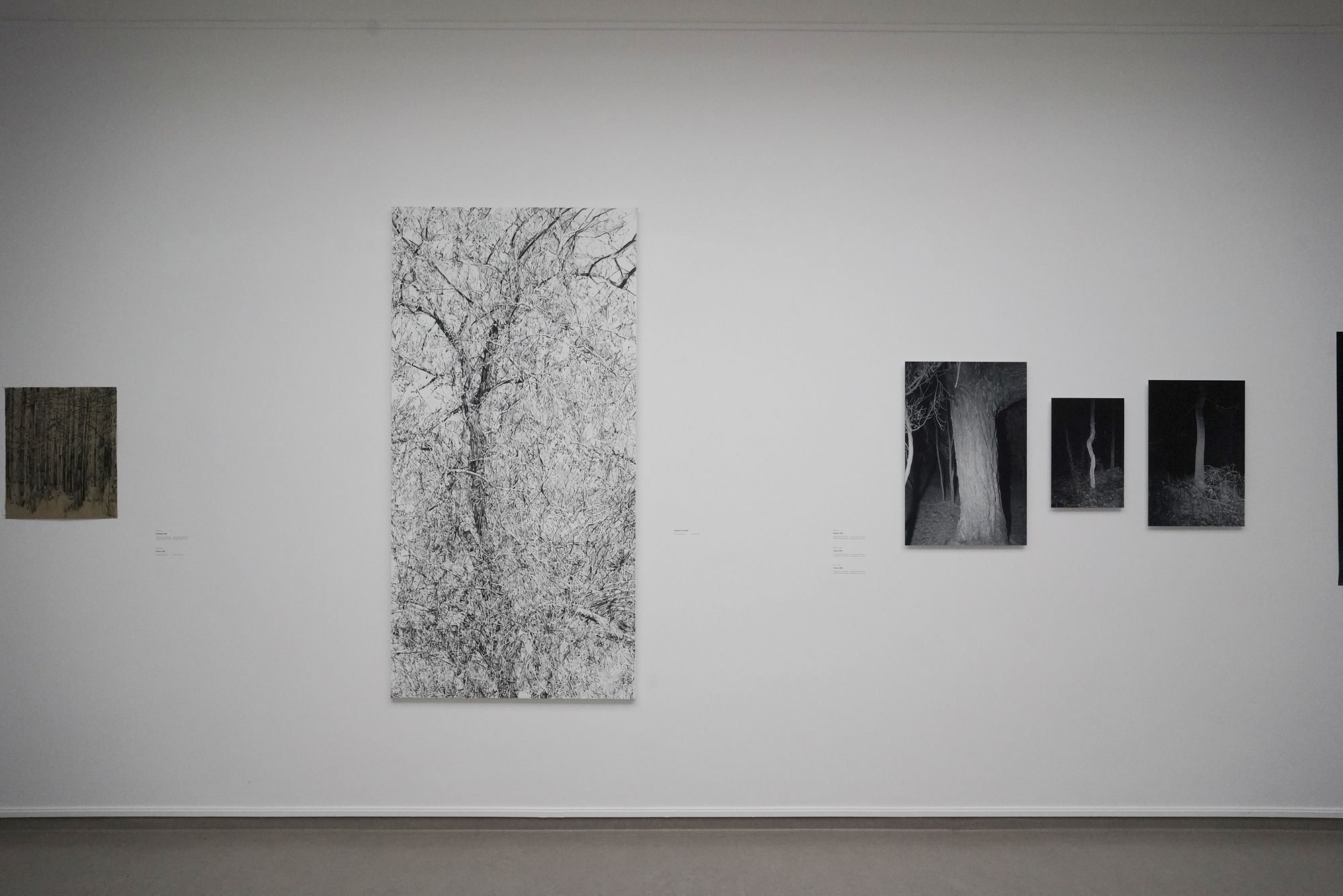 Kröller-Müller Museum II (4)
