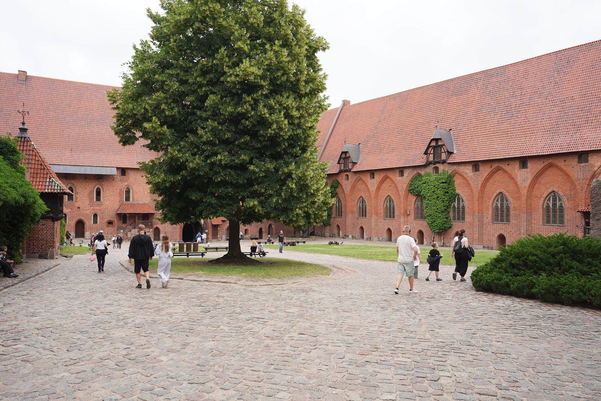 Malbork Castle I (106)
