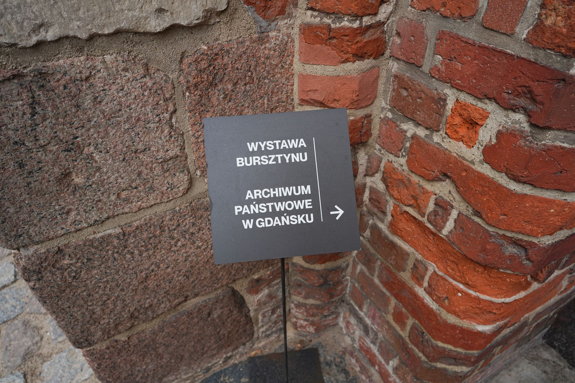Malbork Castle I (108)