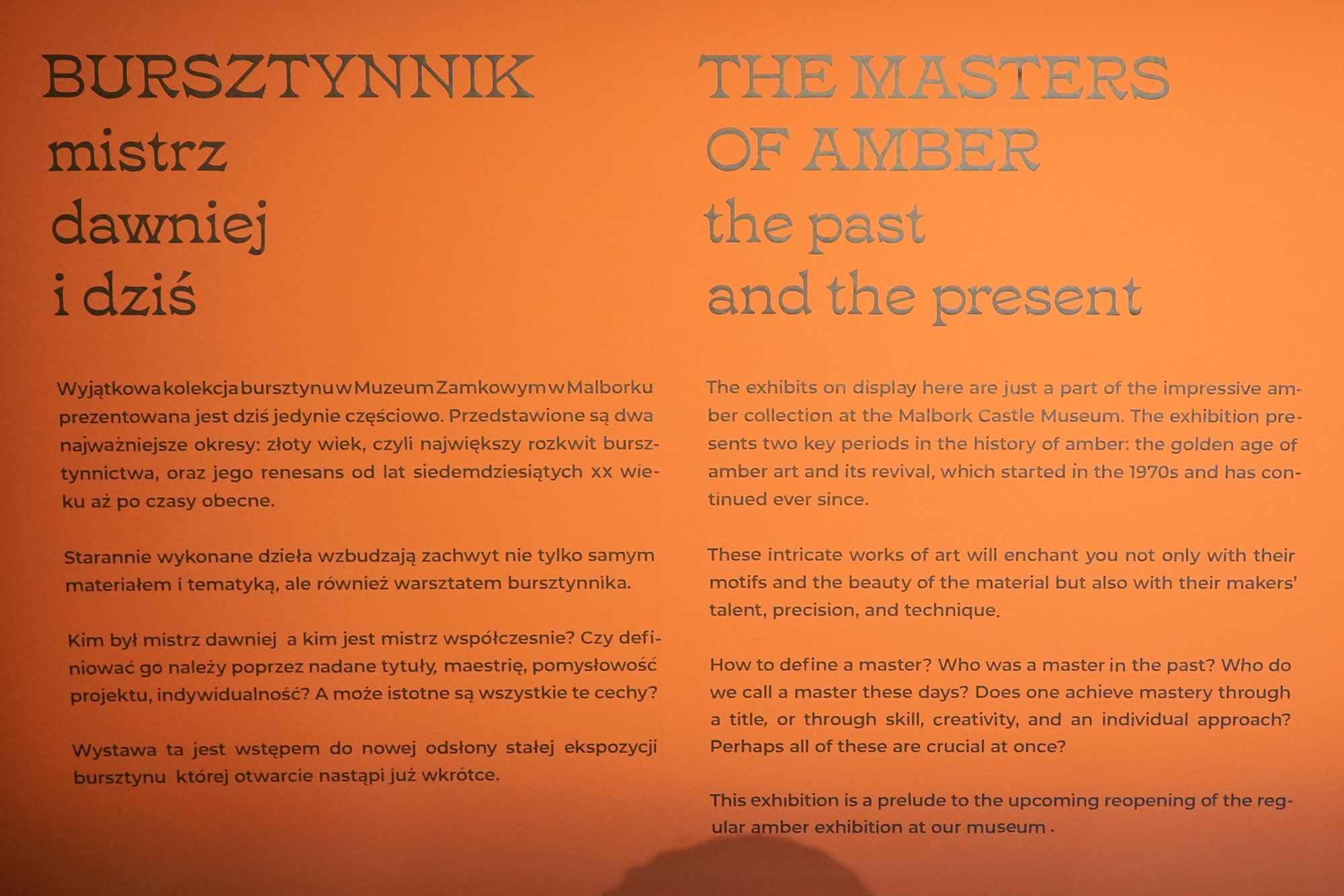 Malbork Castle I (113)