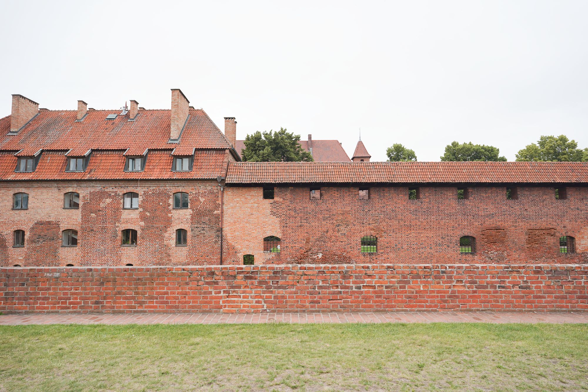 Malbork Castle I (14)