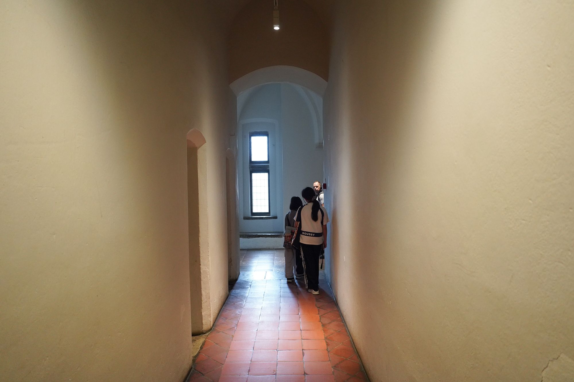 Malbork Castle I (143)
