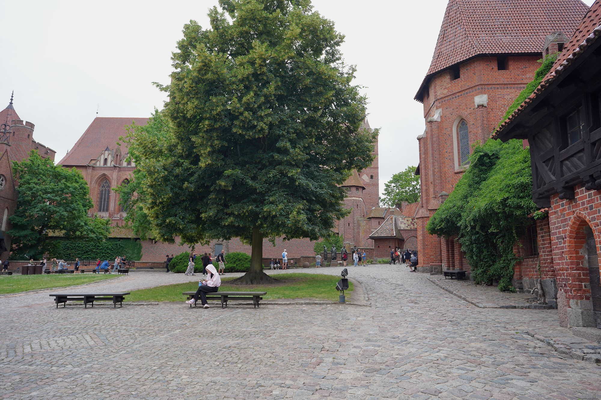 Malbork Castle I (147)