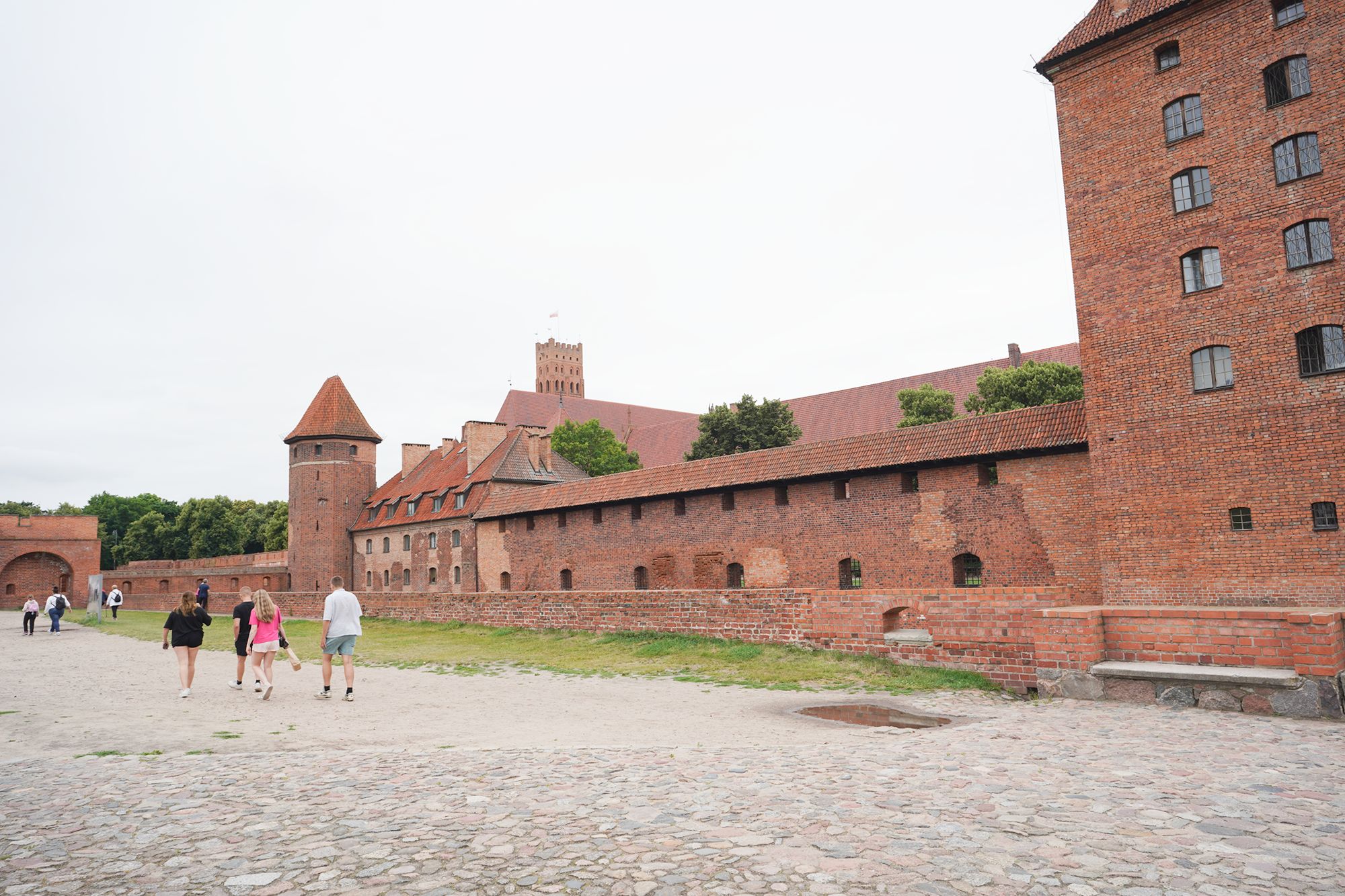 Malbork Castle I (18)