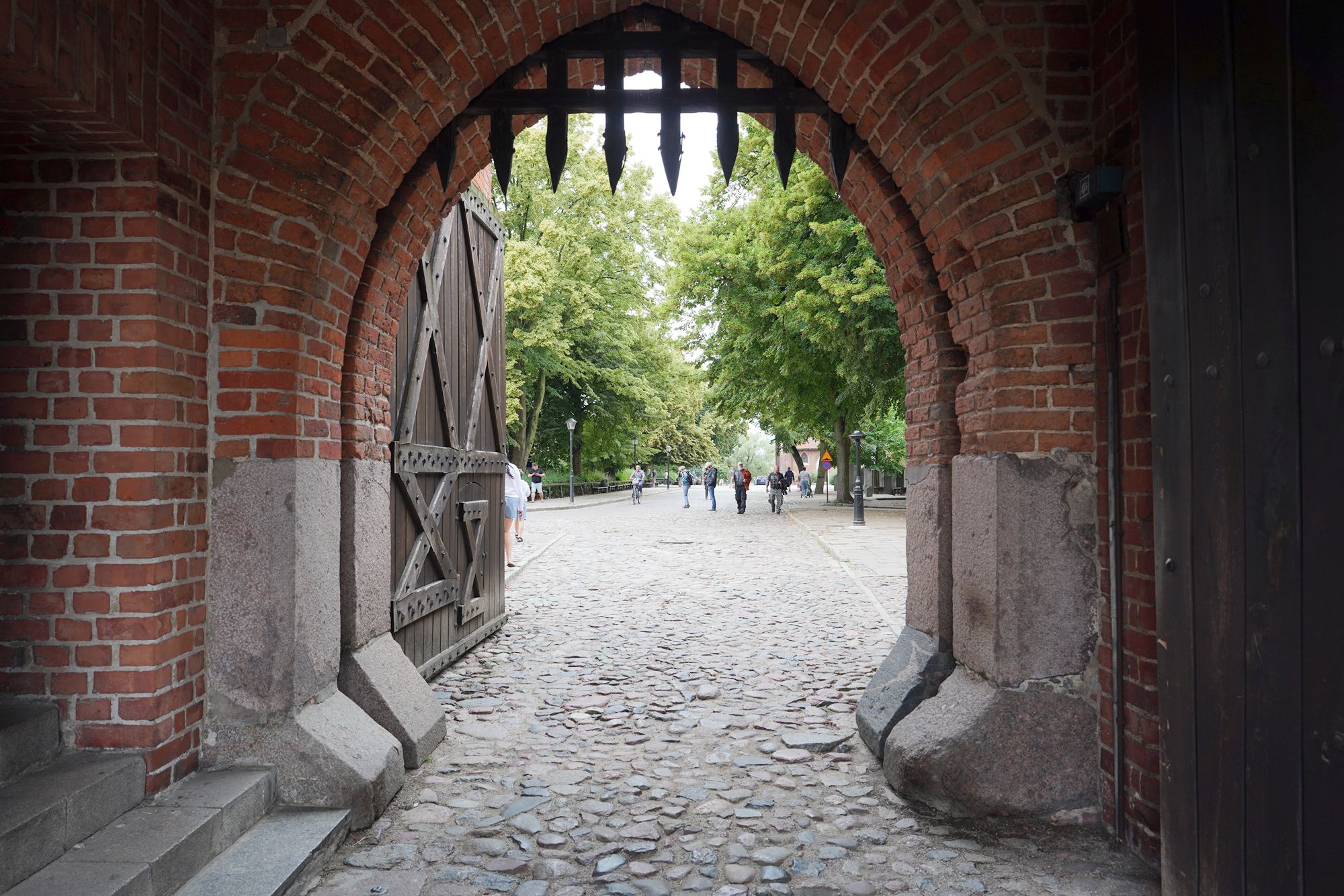 Malbork Castle I (24)