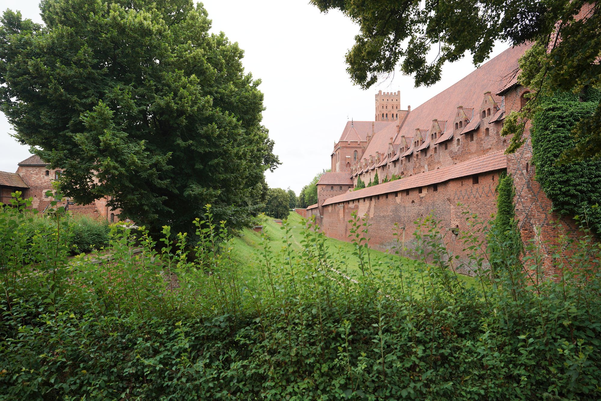 Malbork Castle I (32)