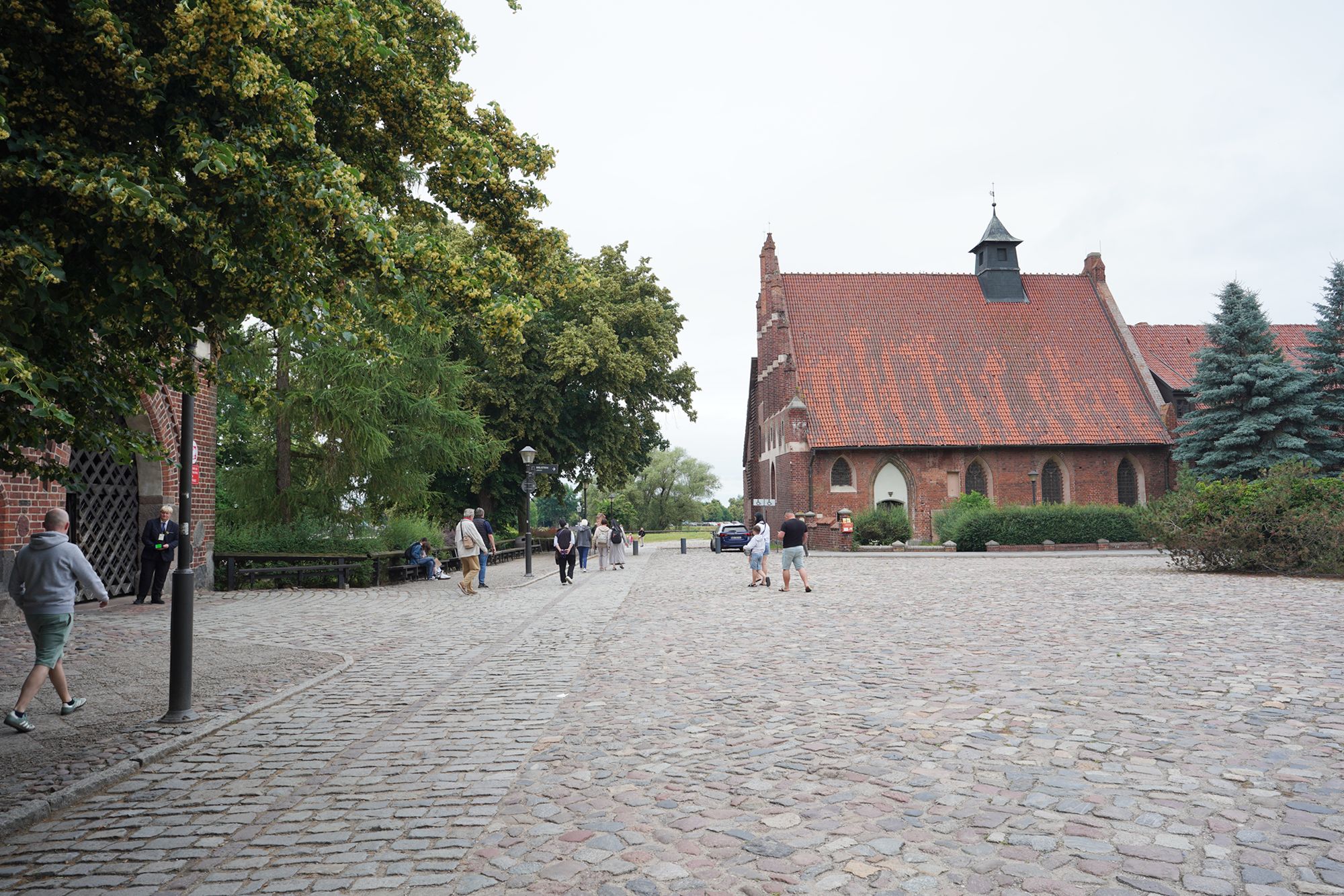 Malbork Castle I (34)