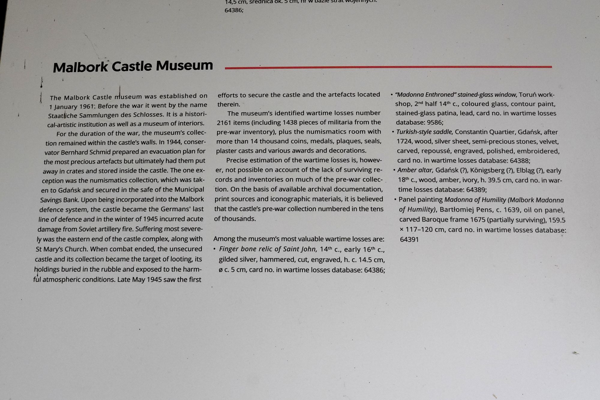 Malbork Castle I (43)