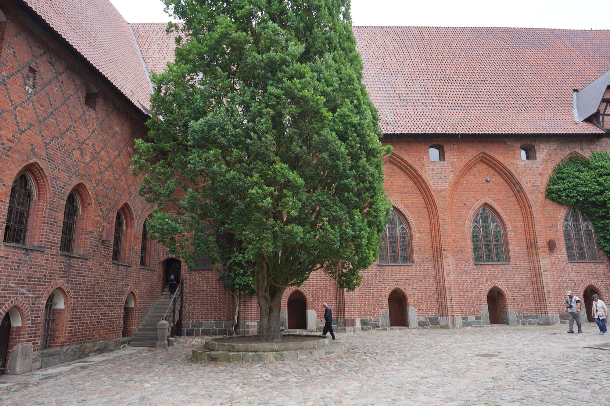 Malbork Castle I (45)