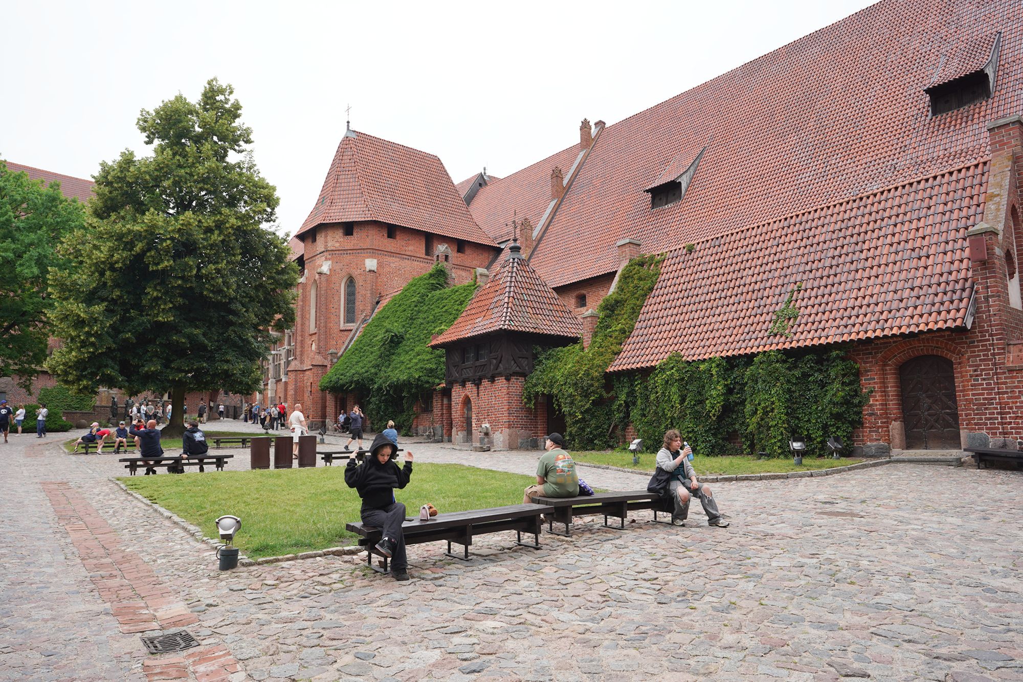 Malbork Castle I (48)