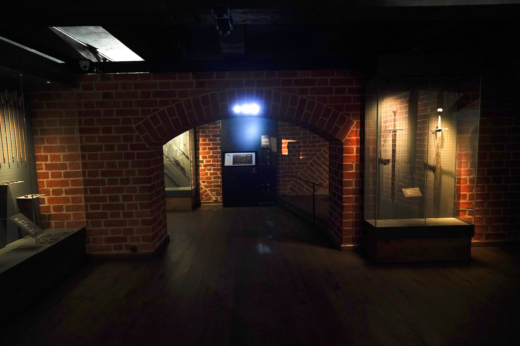 Malbork Castle I (53)