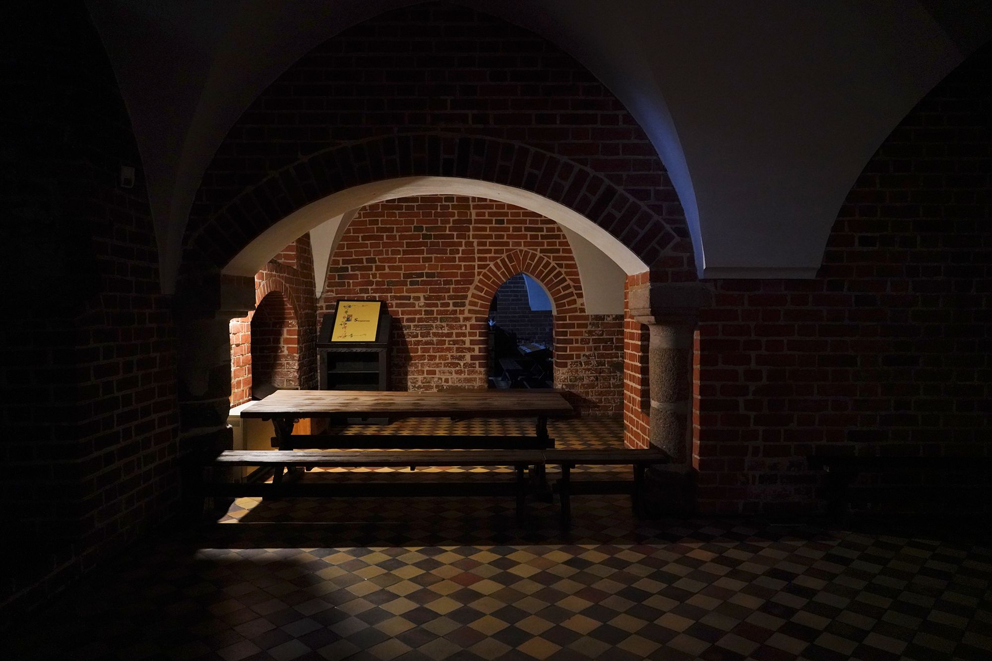 Malbork Castle II (104)