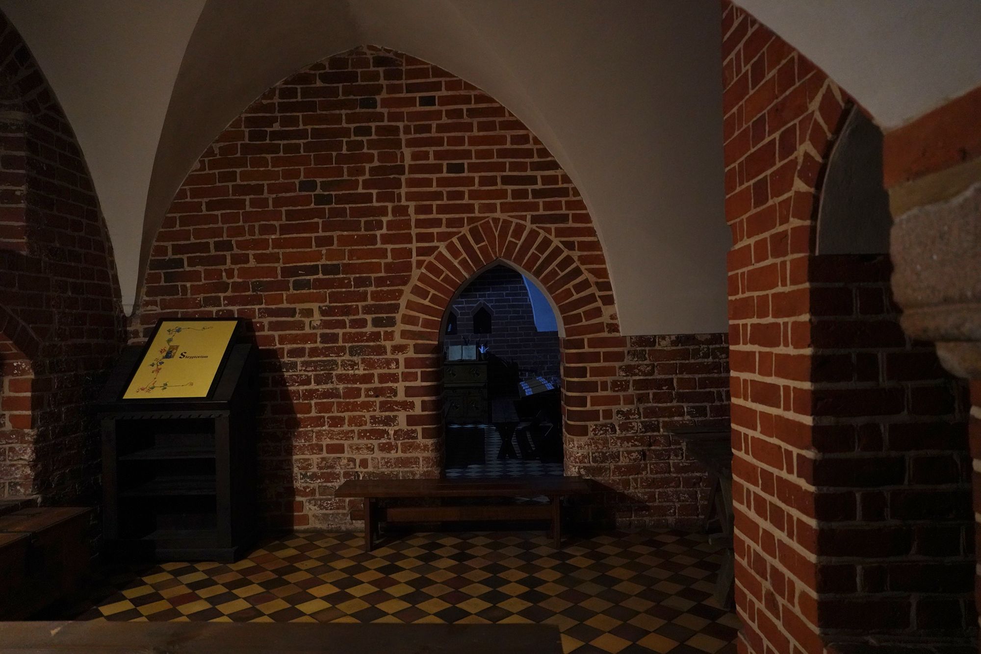 Malbork Castle II (105)