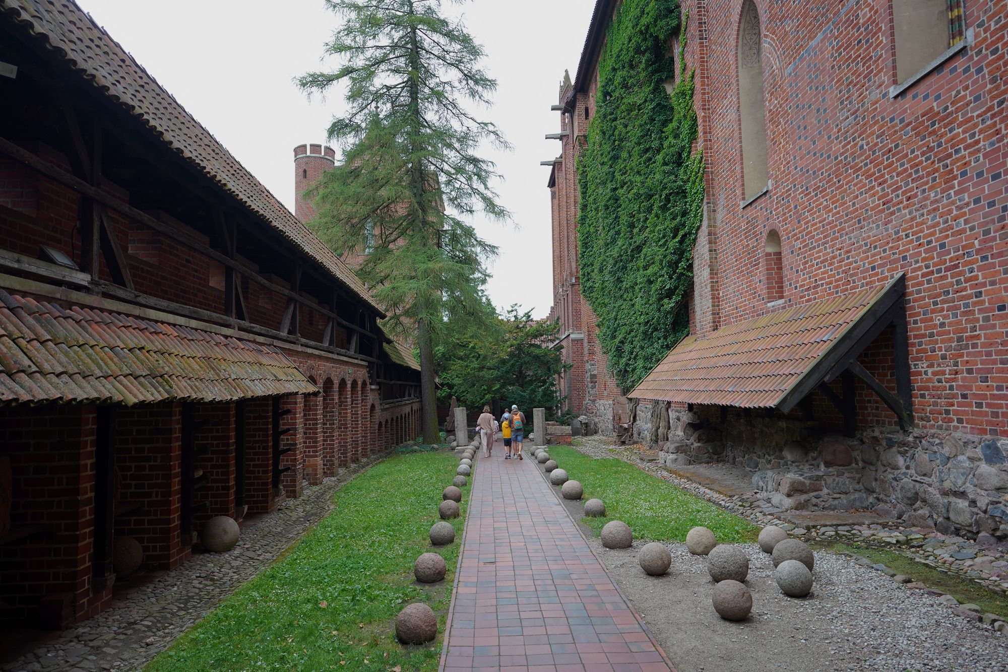 Malbork Castle II (115)
