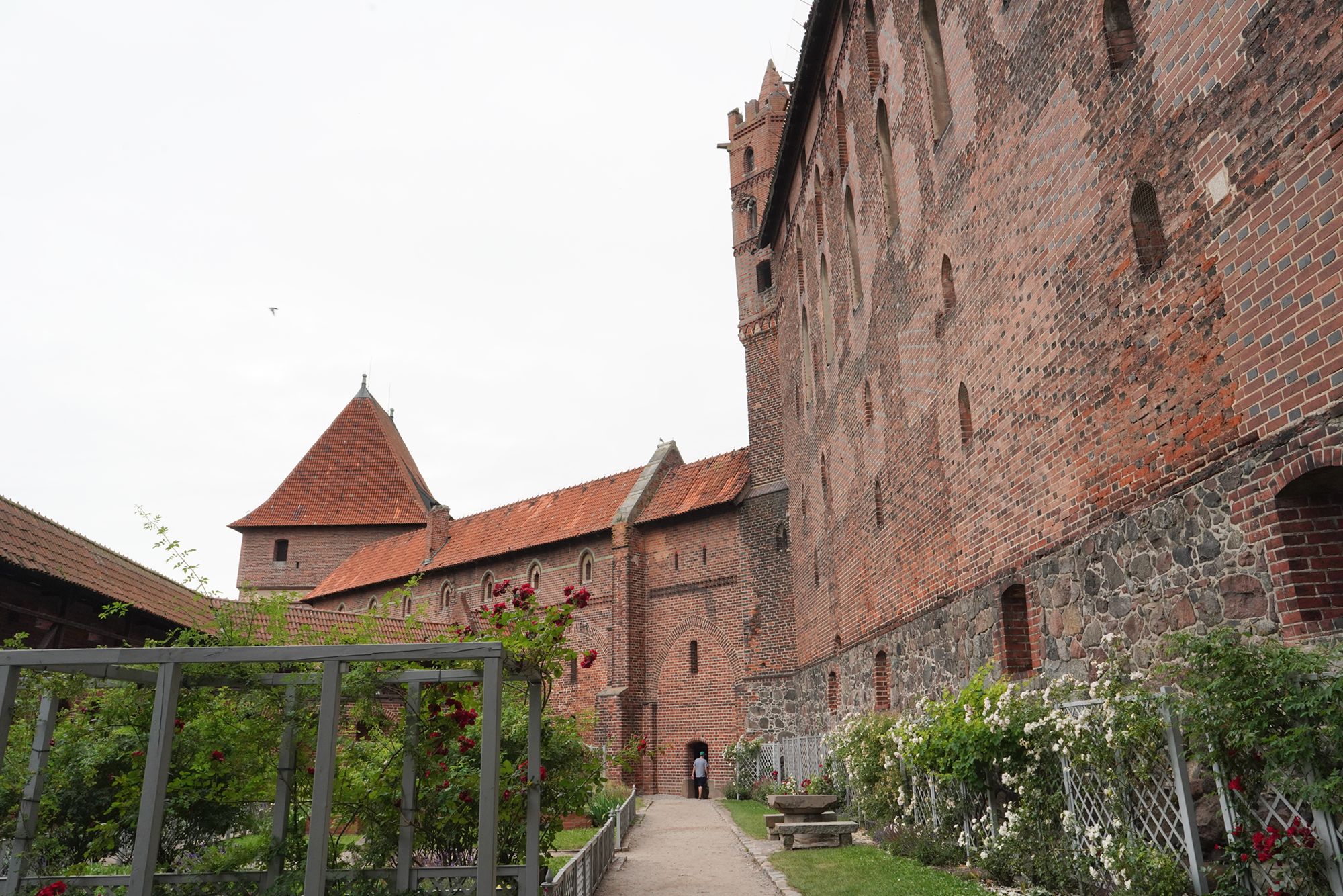 Malbork Castle II (124)