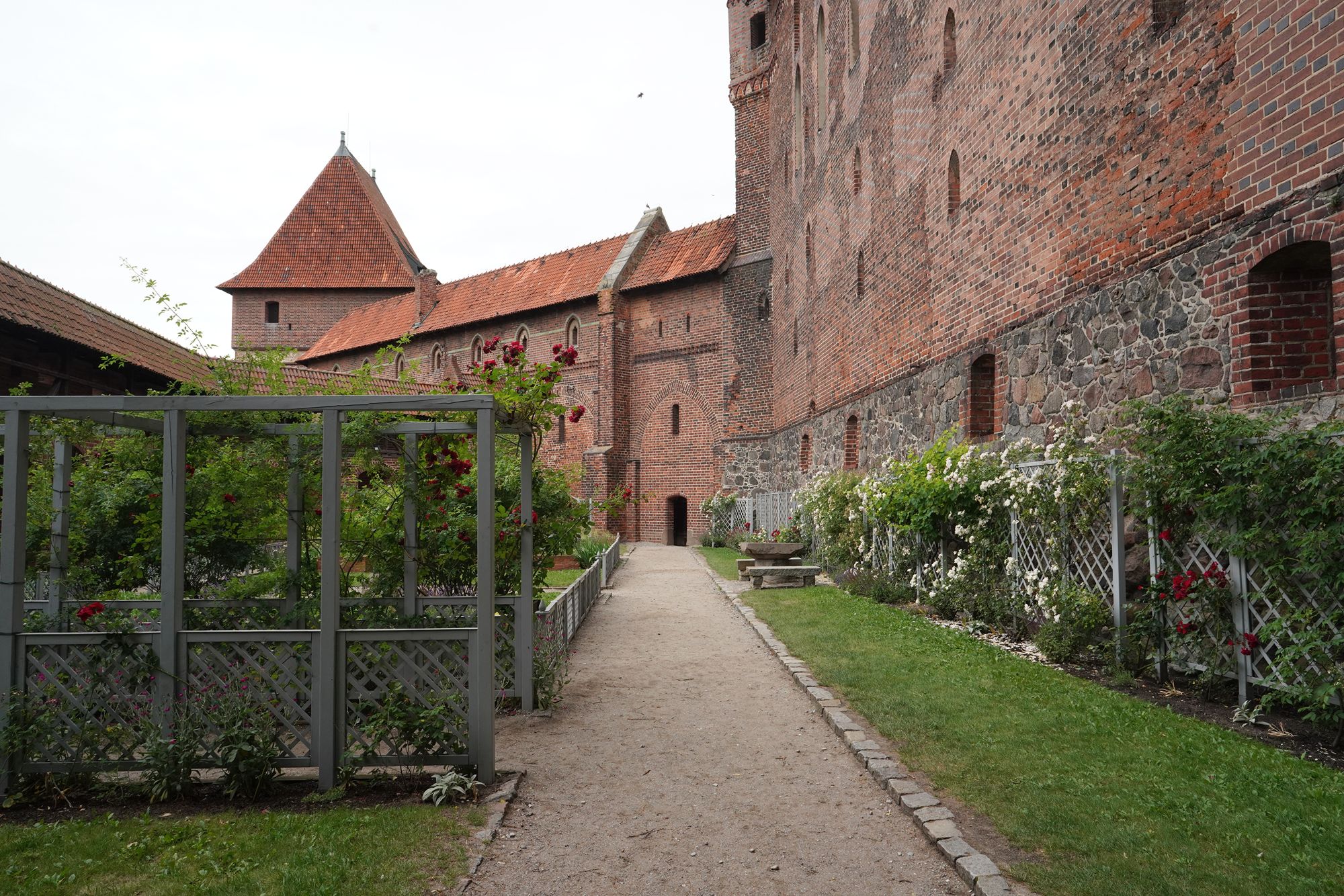 Malbork Castle II (125)