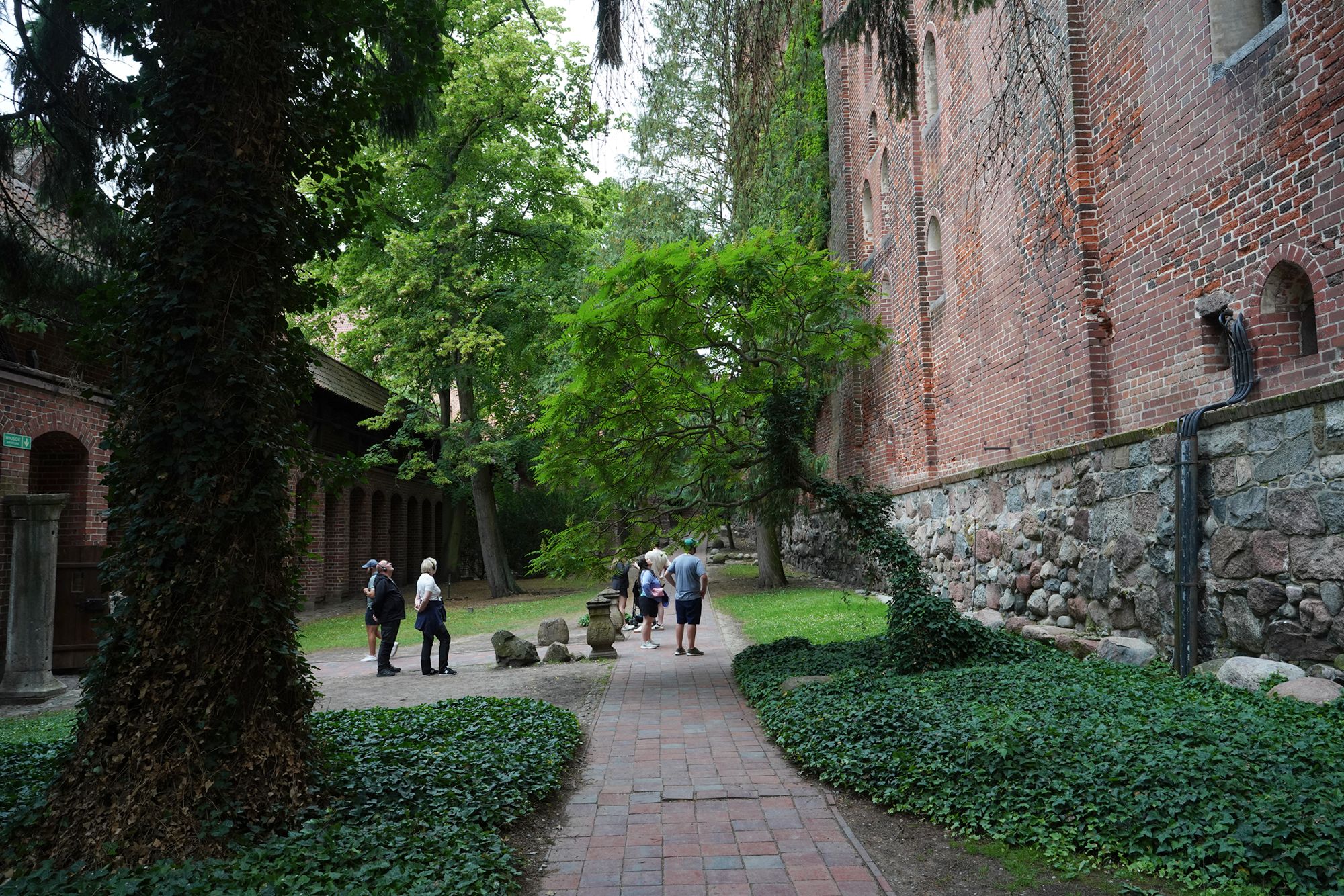 Malbork Castle II (130)