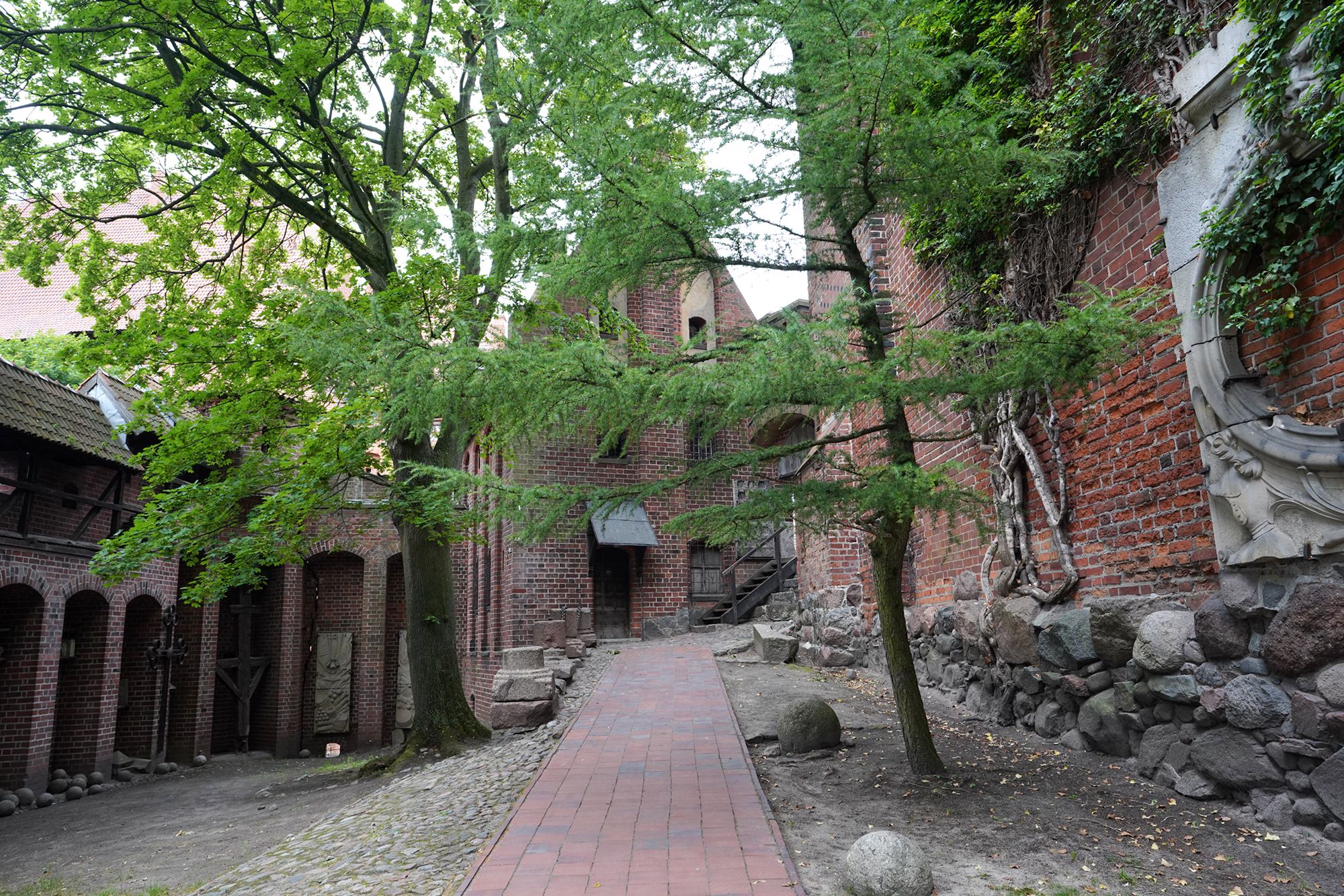 Malbork Castle II (131)