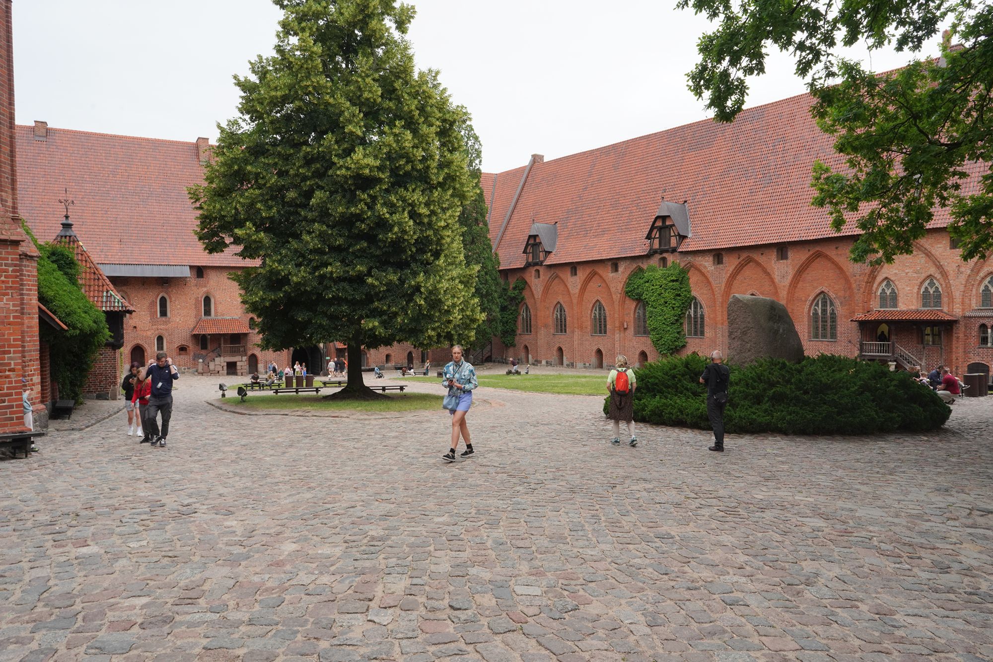 Malbork Castle II (134)