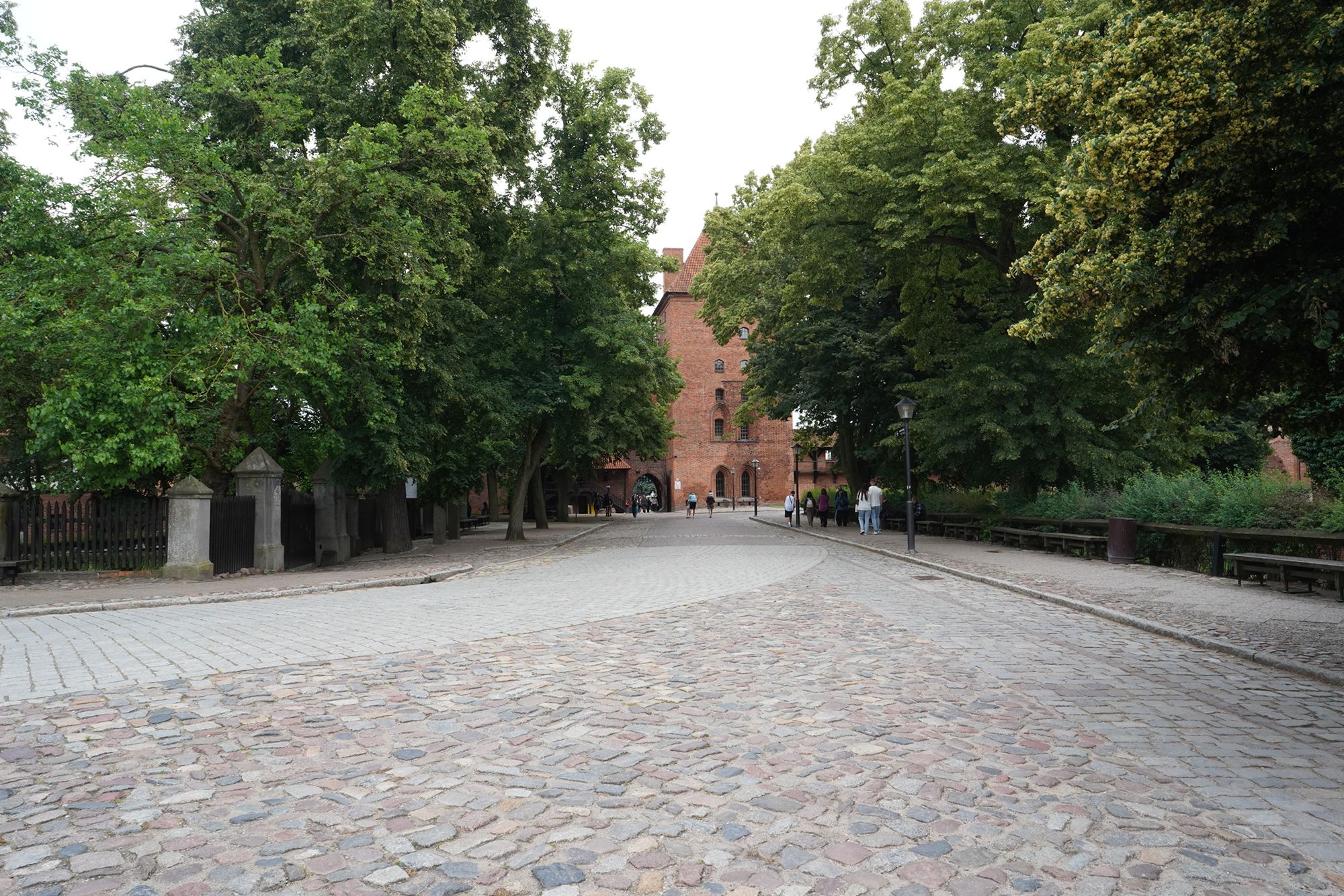 Malbork Castle II (138)