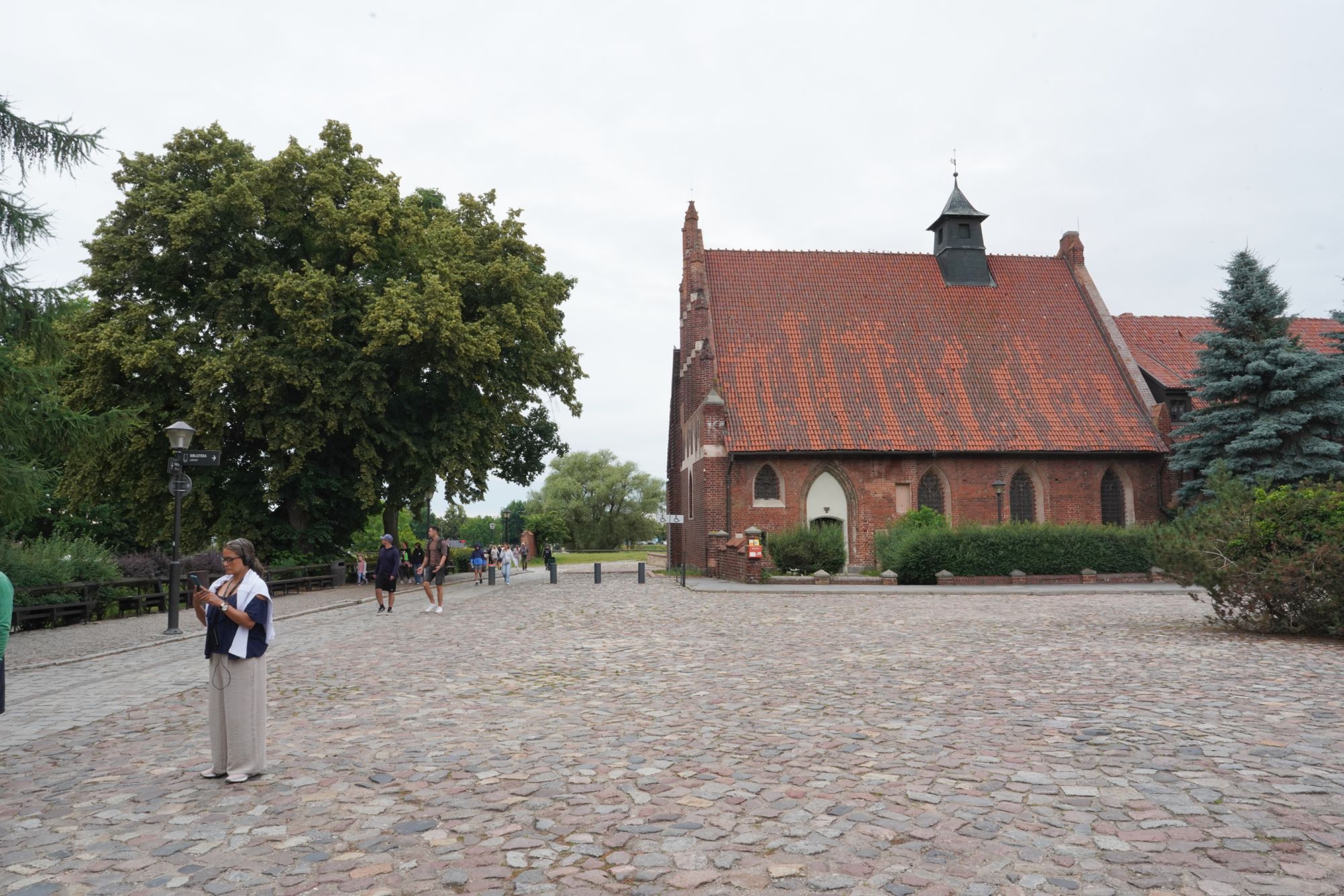 Malbork Castle II (139)
