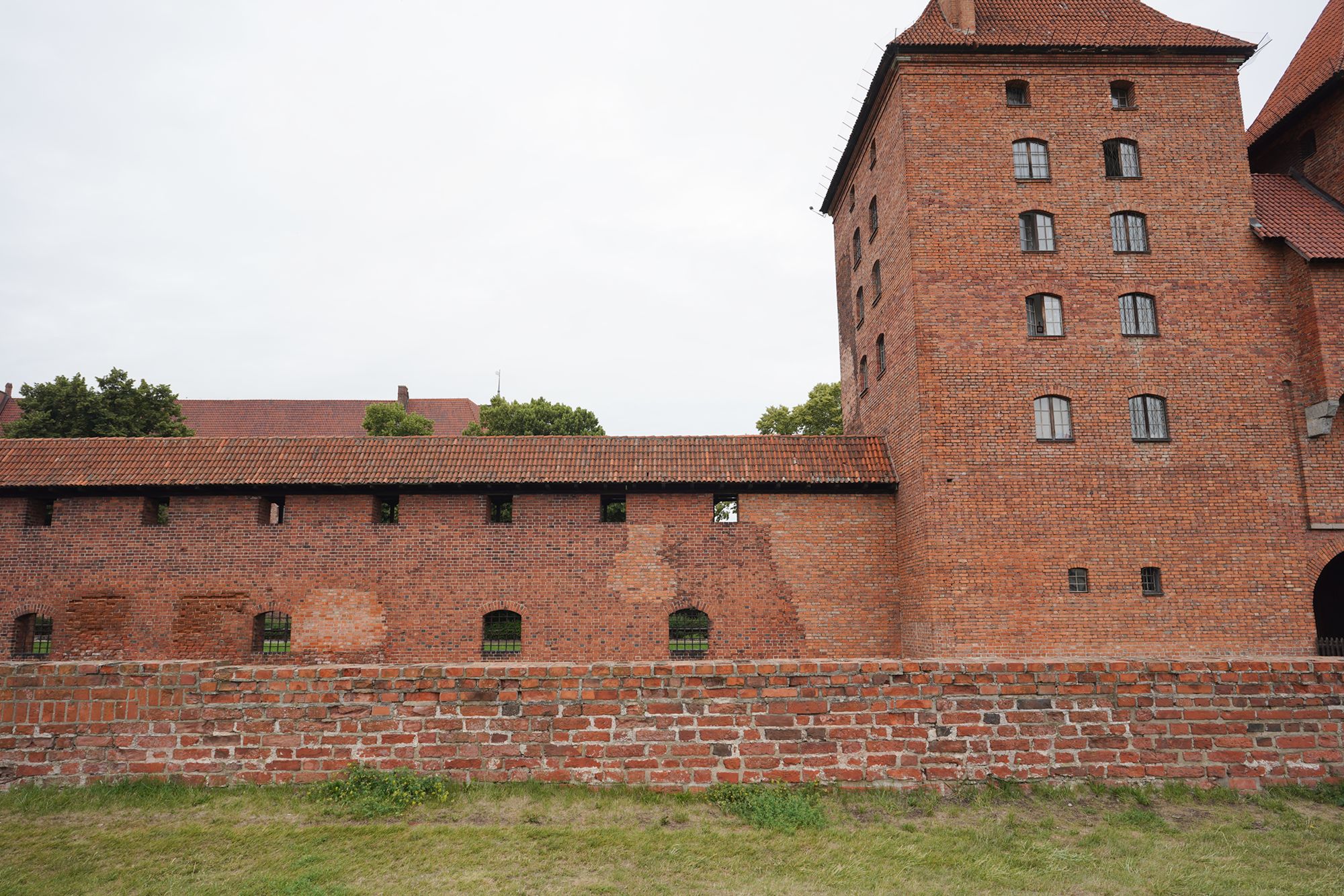 Malbork Castle II (144)