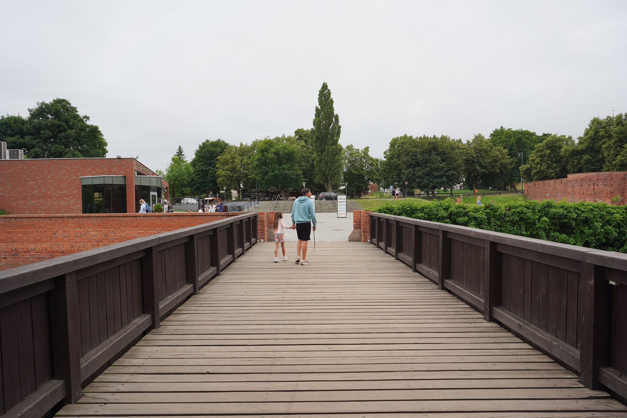 Malbork Castle II (145)