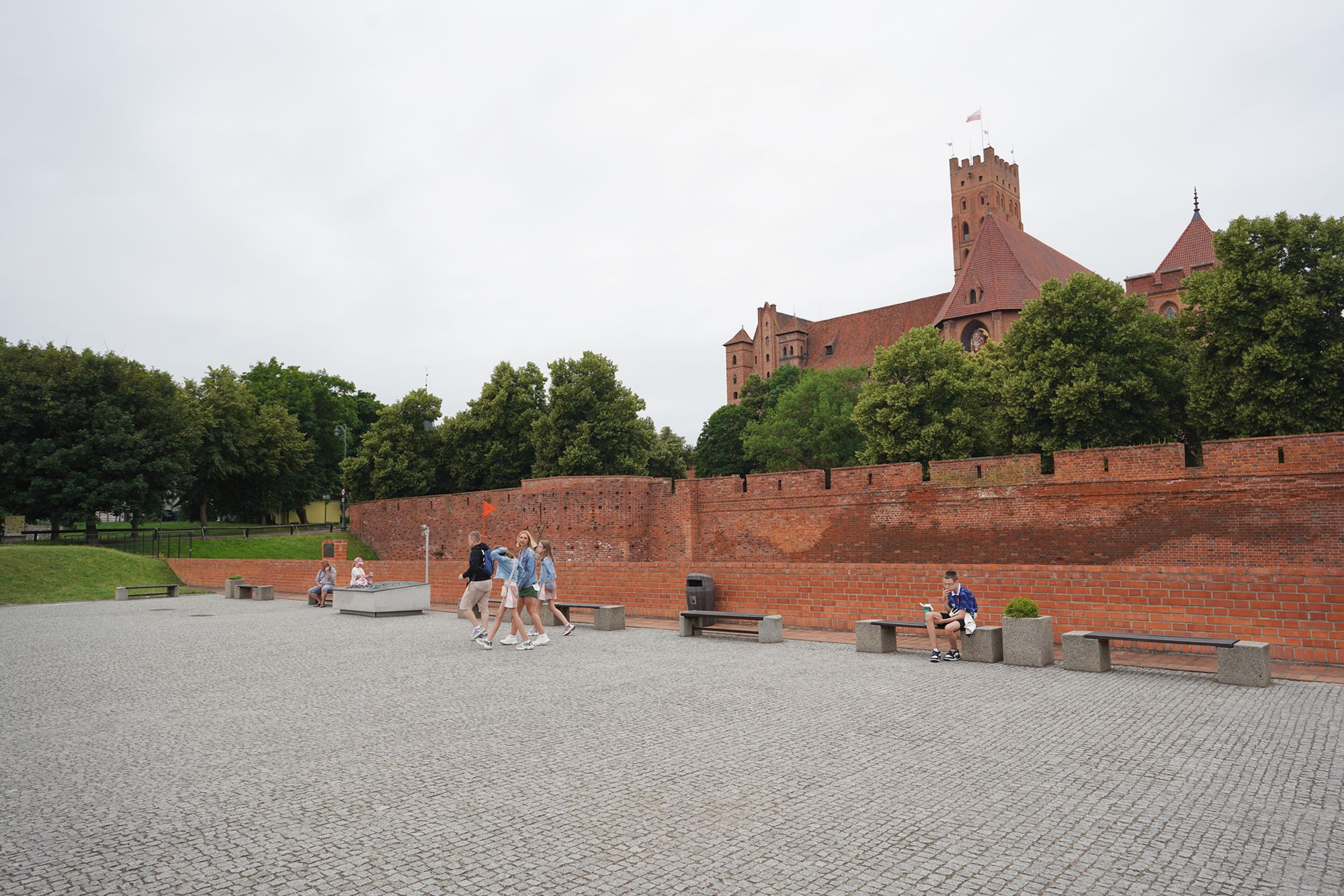 Malbork Castle II (146)