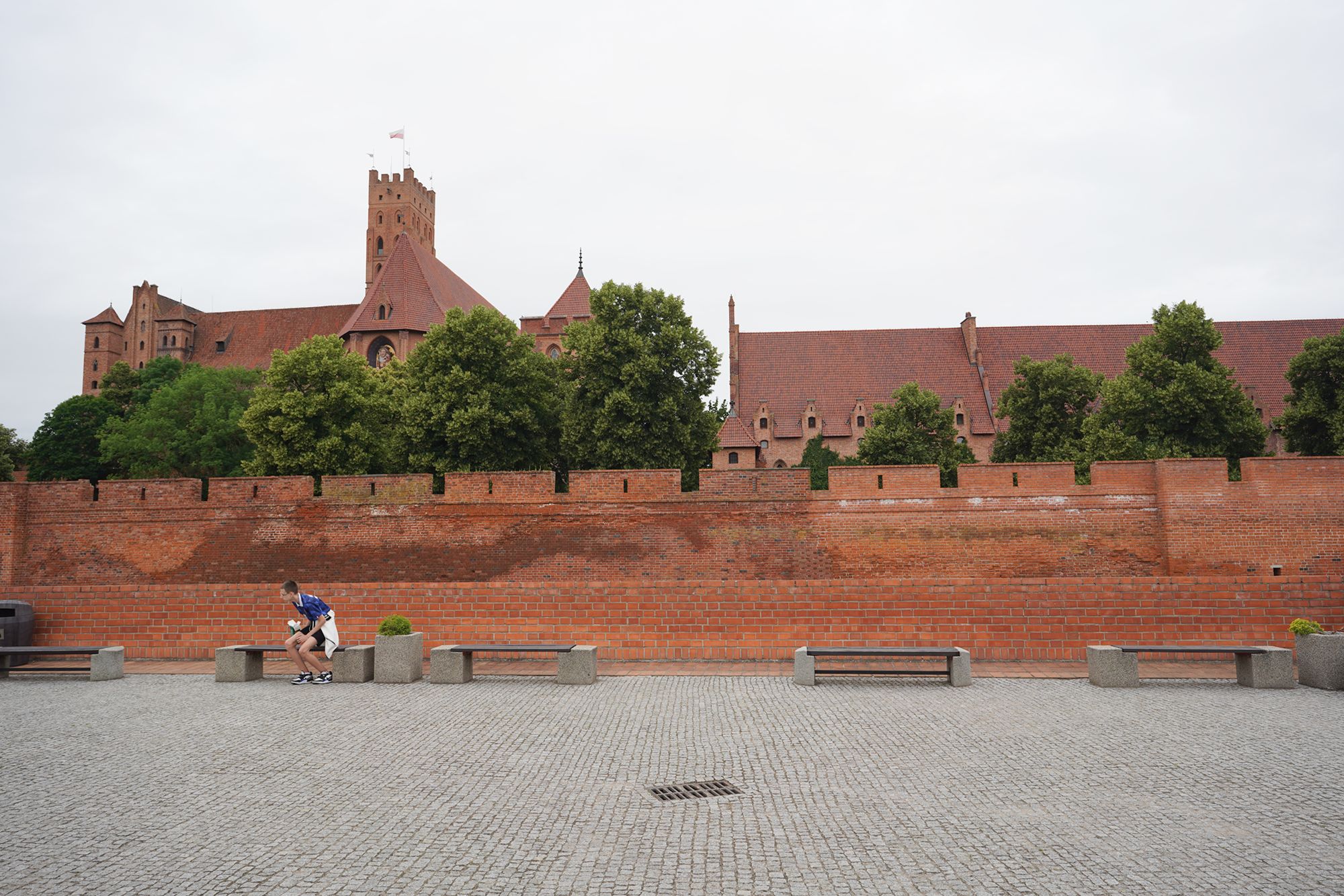 Malbork Castle II (147)