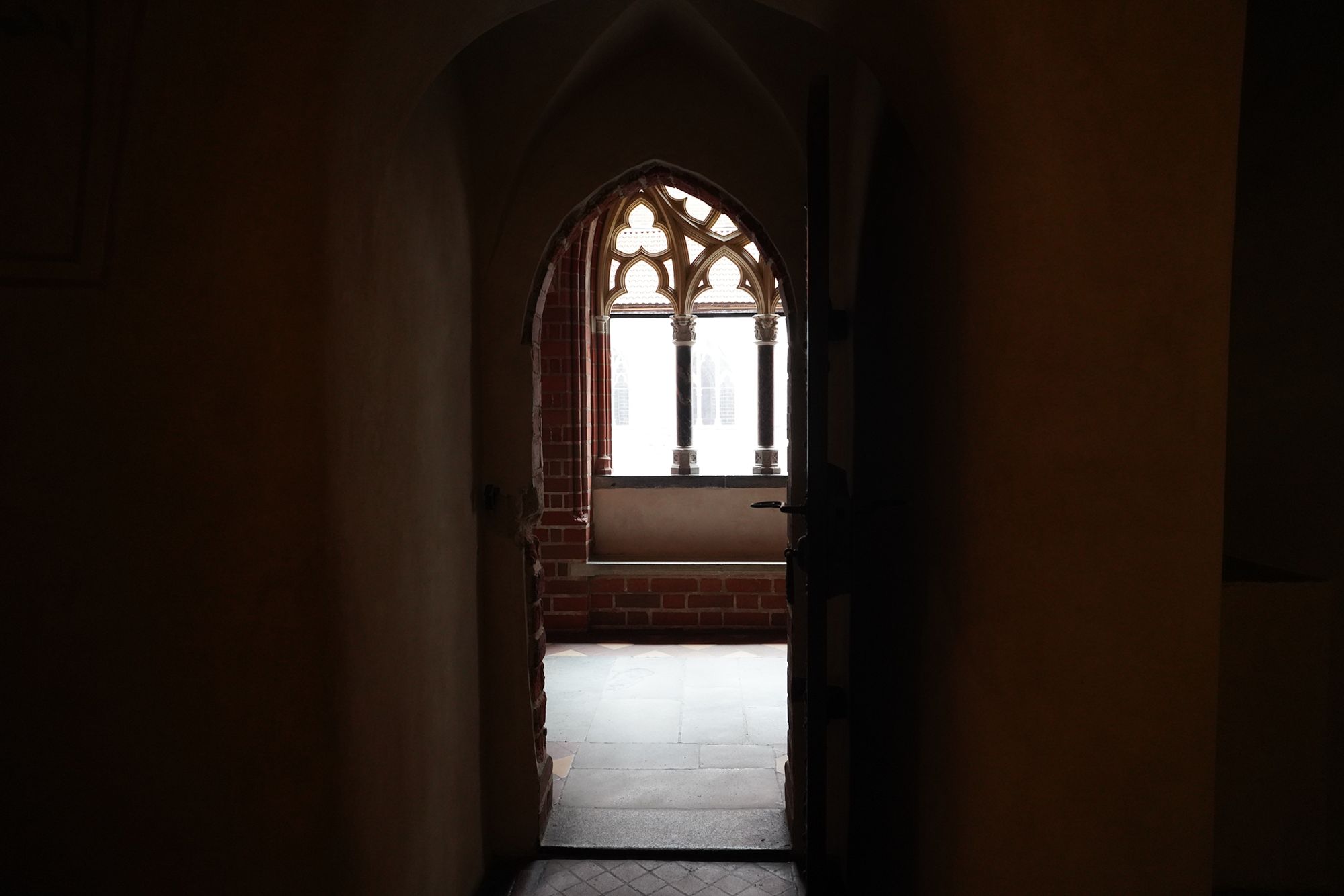 Malbork Castle II (50)