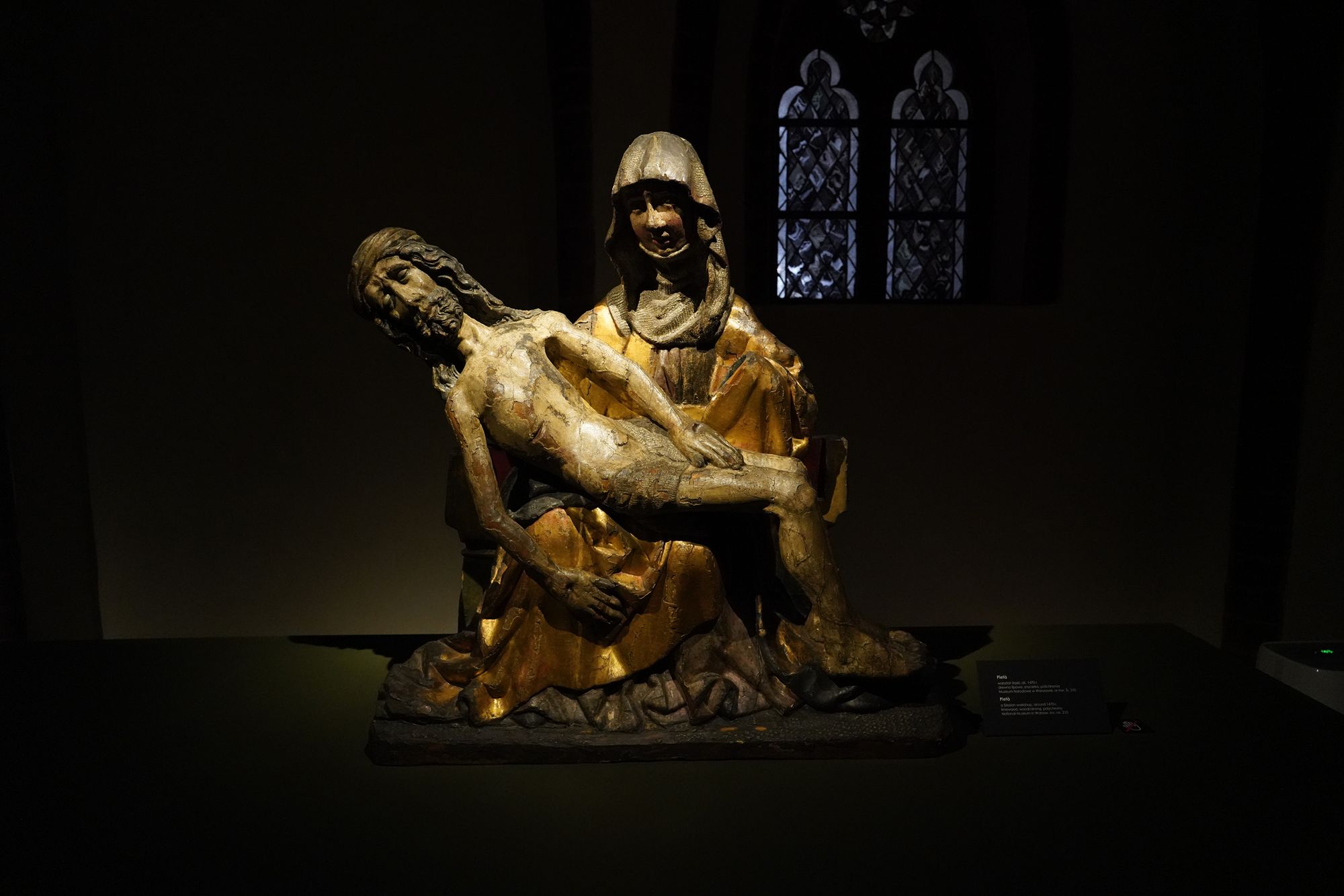 Malbork Castle II (75)