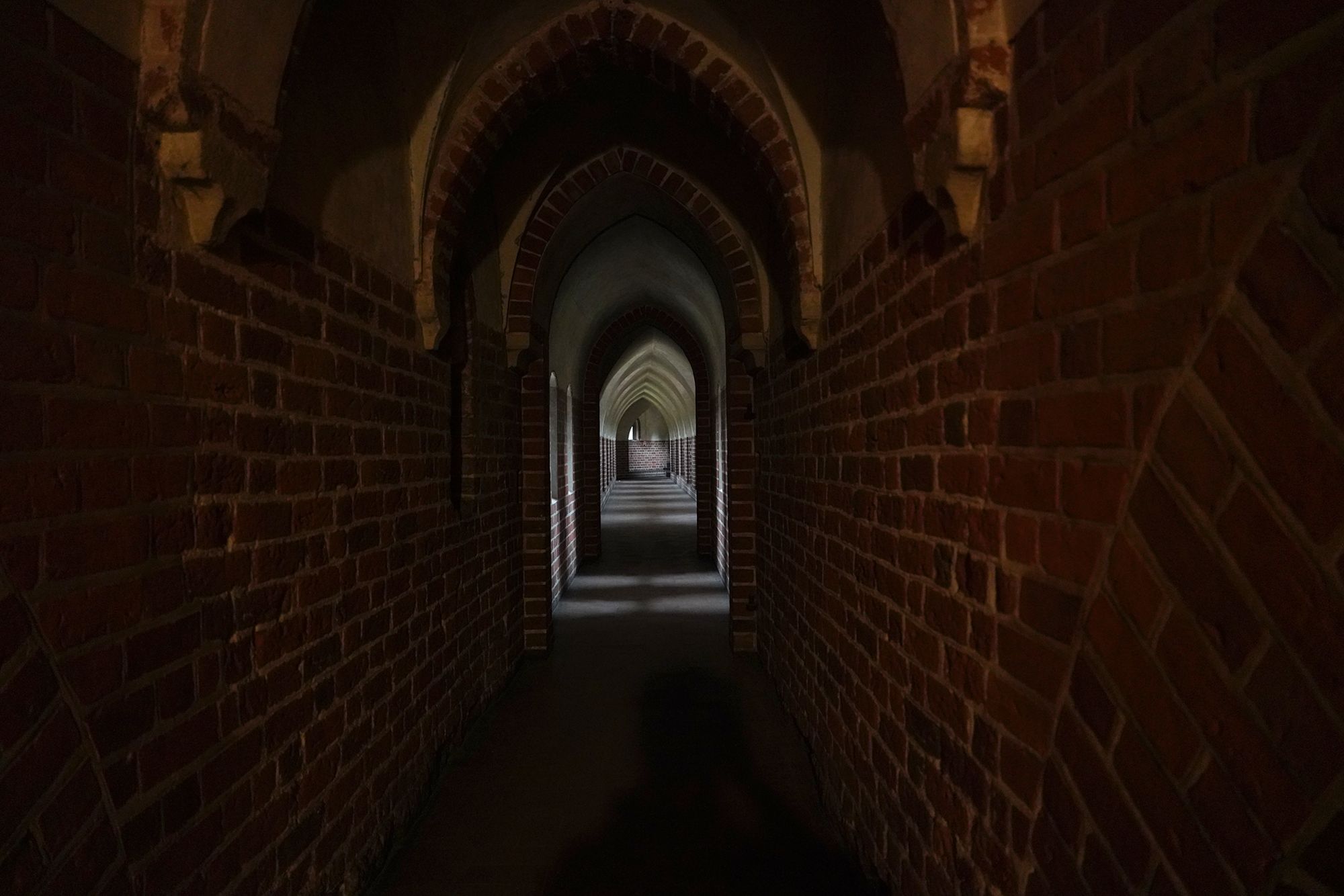 Malbork Castle II (84)