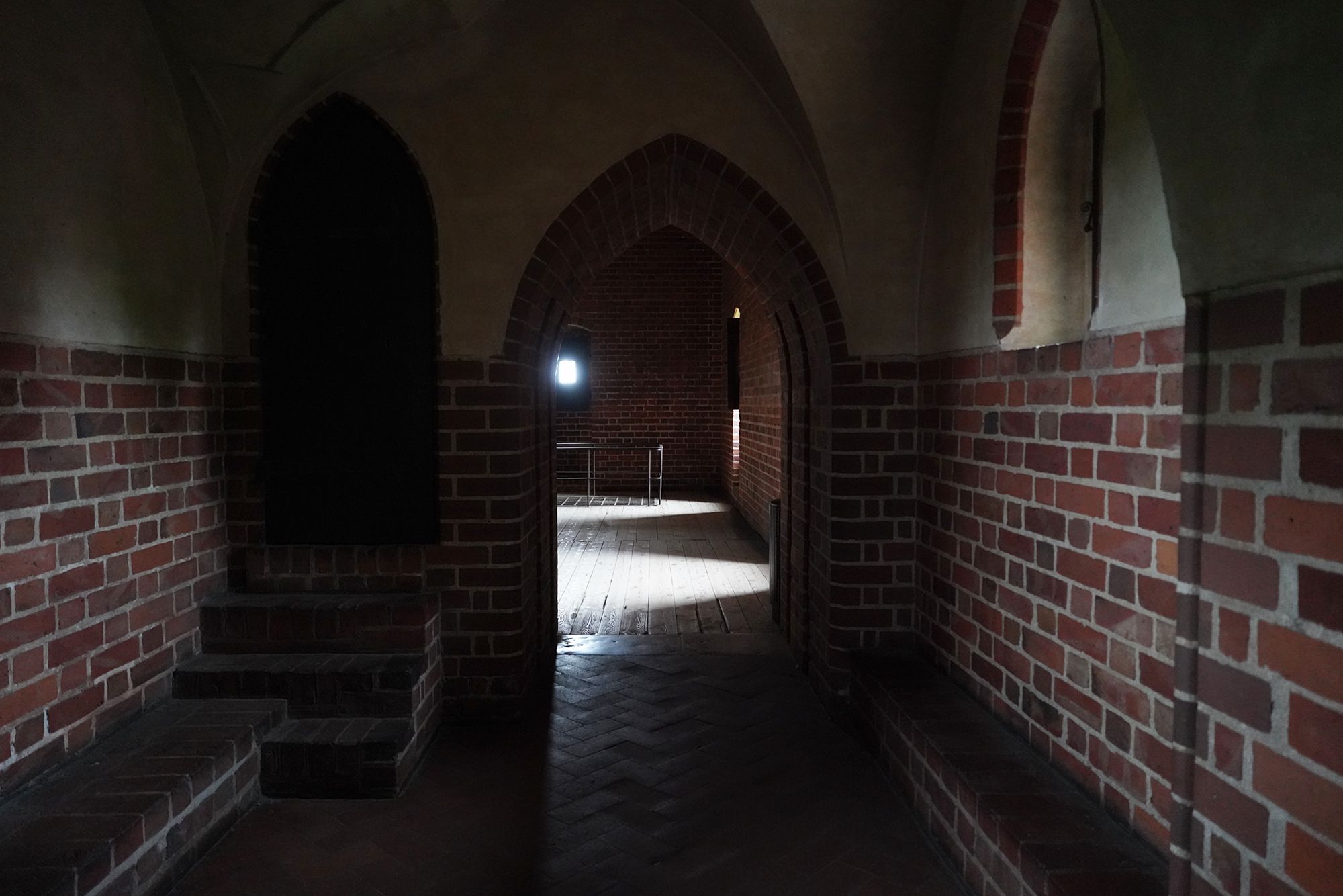 Malbork Castle II (85)