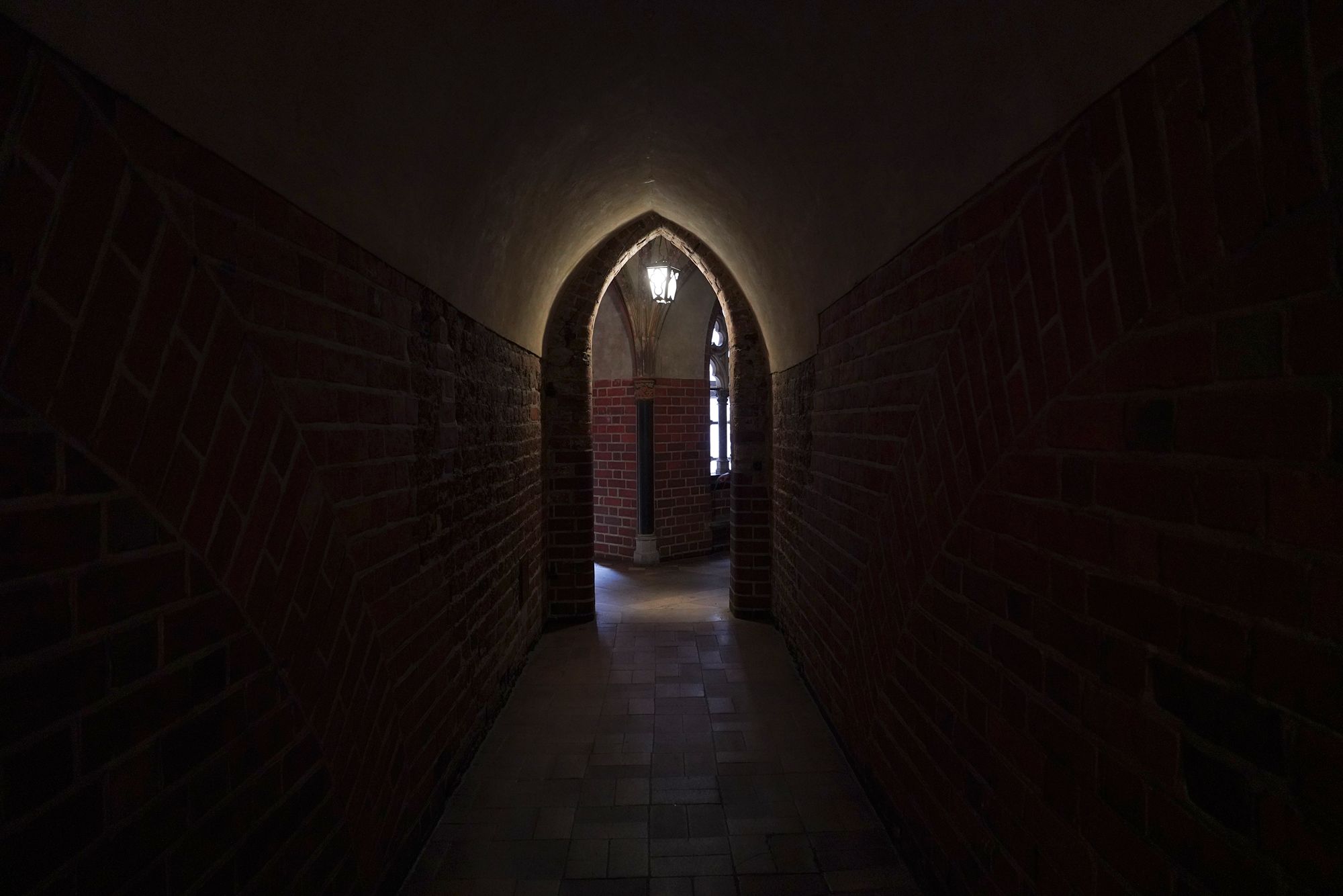 Malbork Castle II (90)