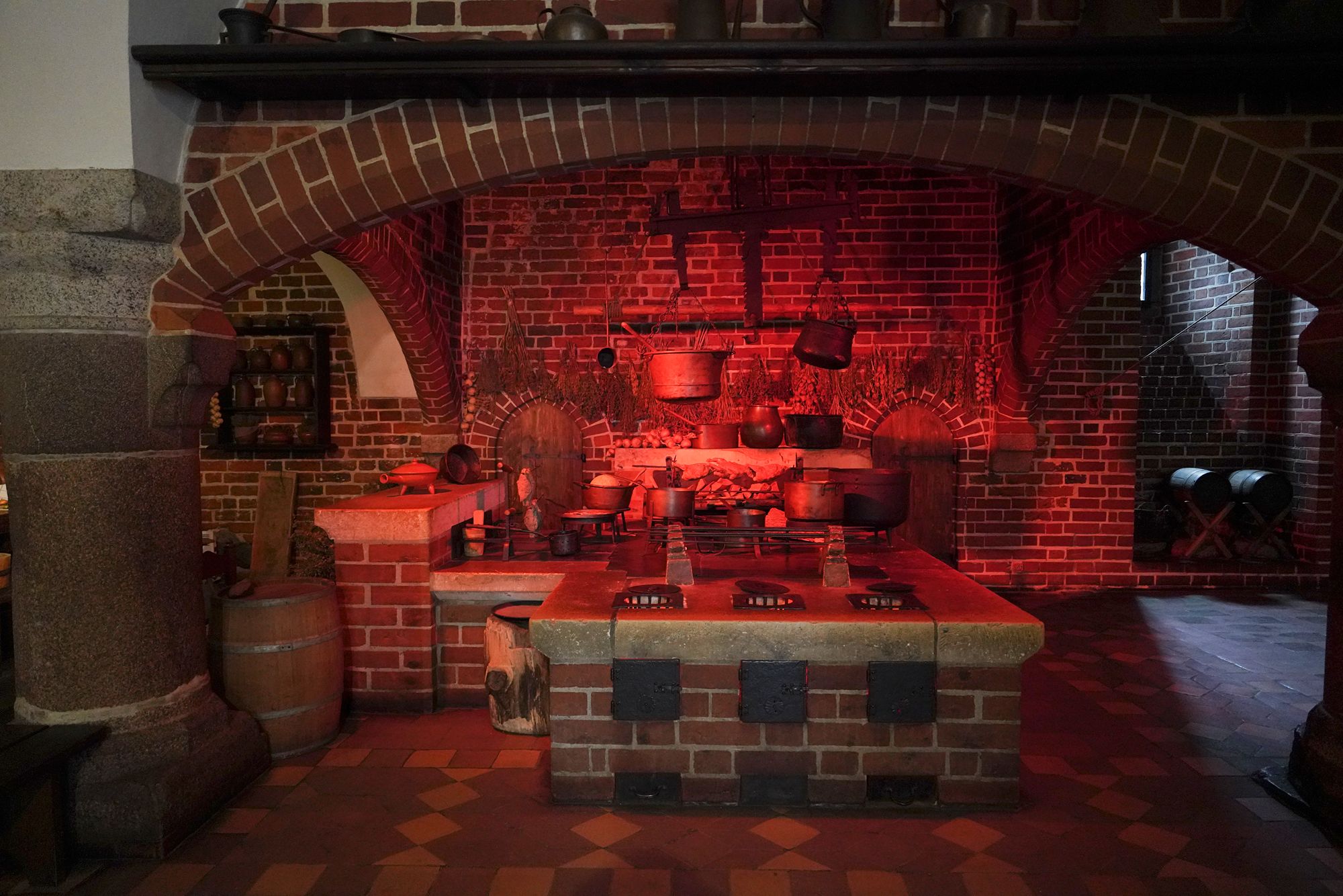 Malbork Castle II (97)