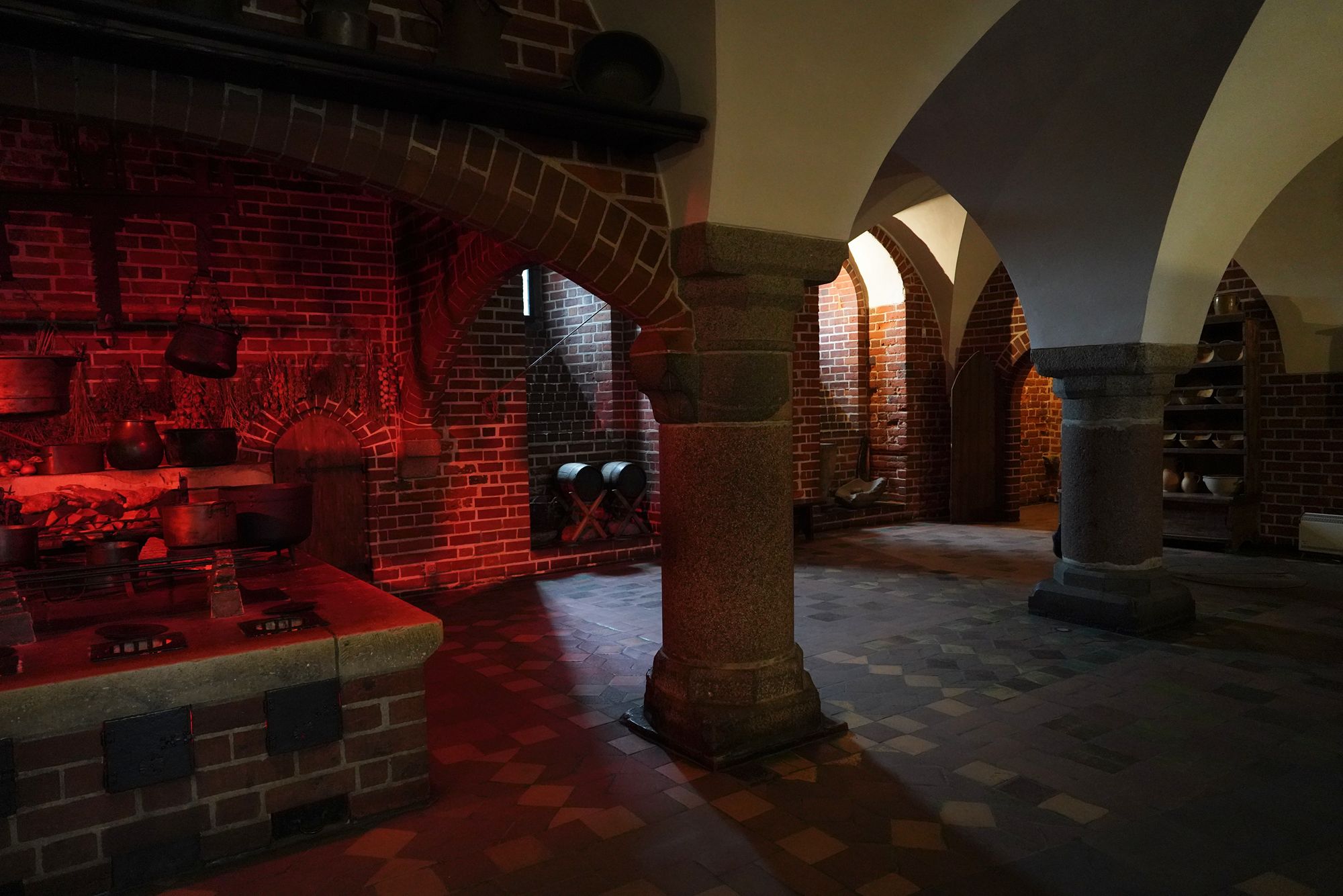 Malbork Castle II (98)