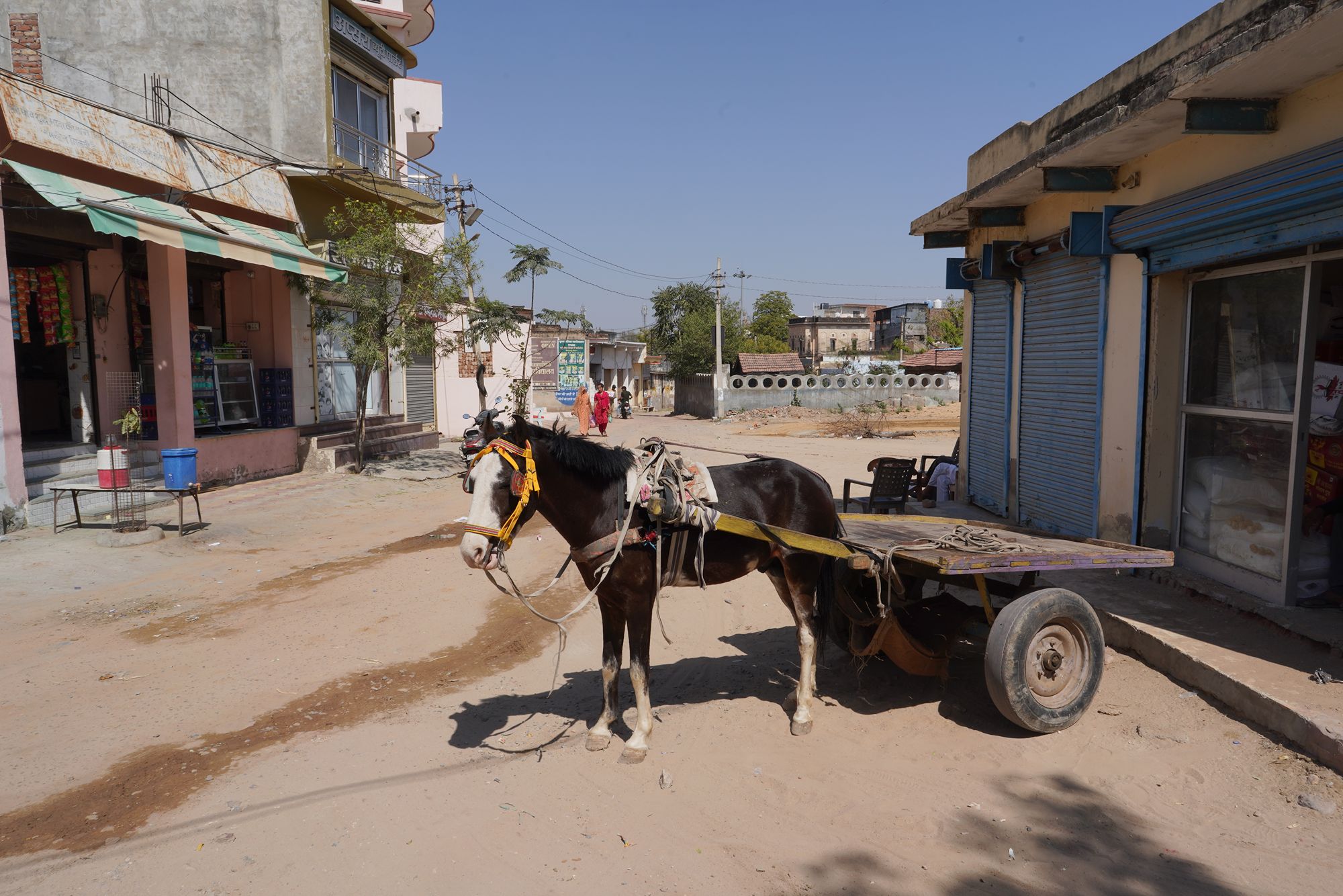 Mandawa’s old town historic haveli quarter (170) Mandawa’s old town historic haveli quarter (170)