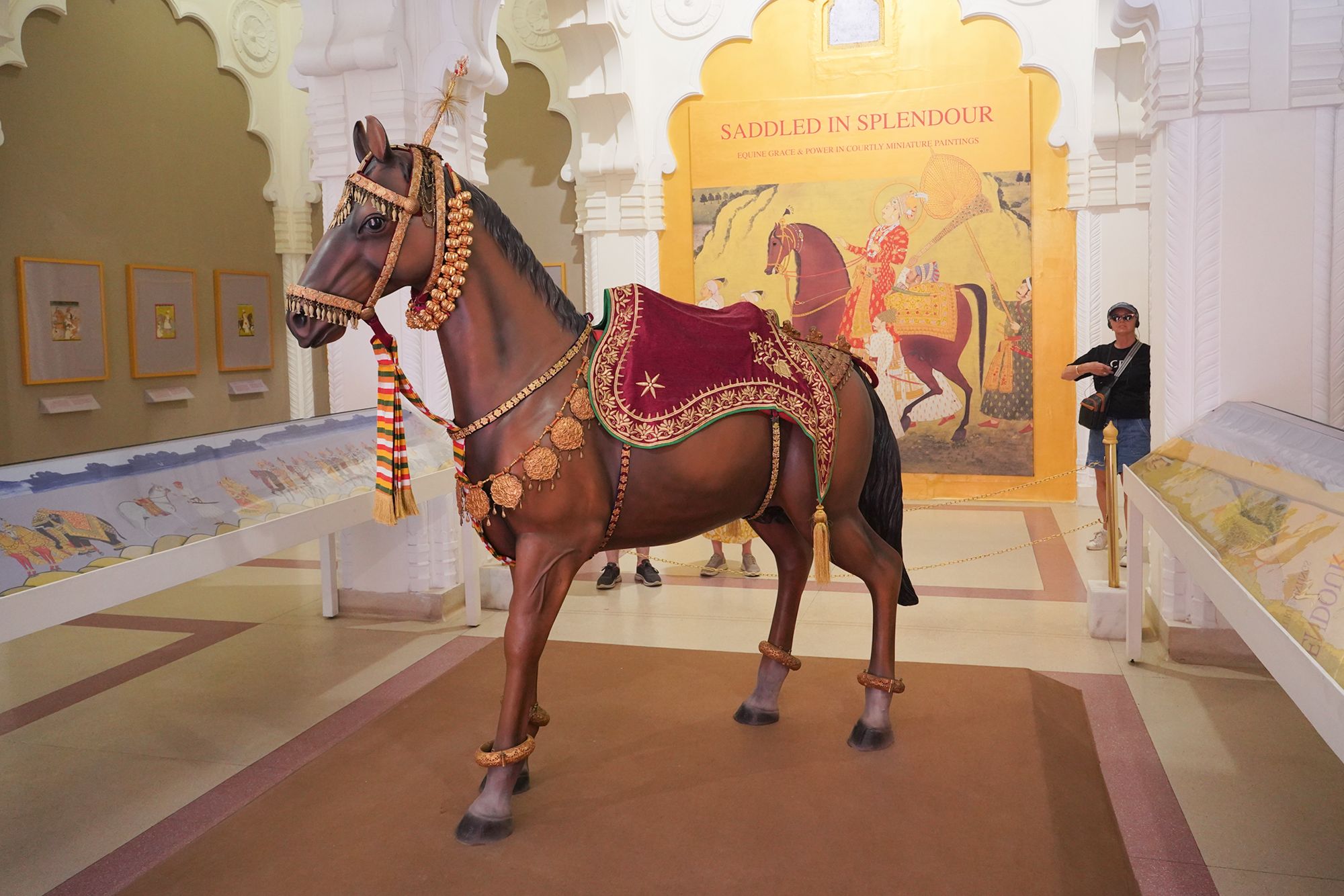 Mehrangarh Fort (104)