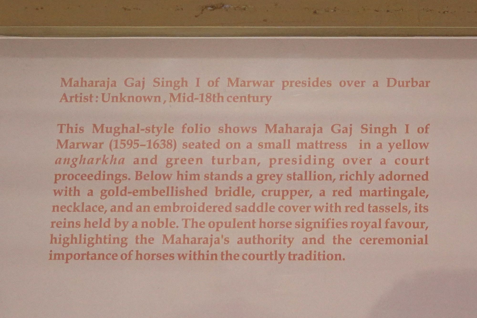 Mehrangarh Fort (110)