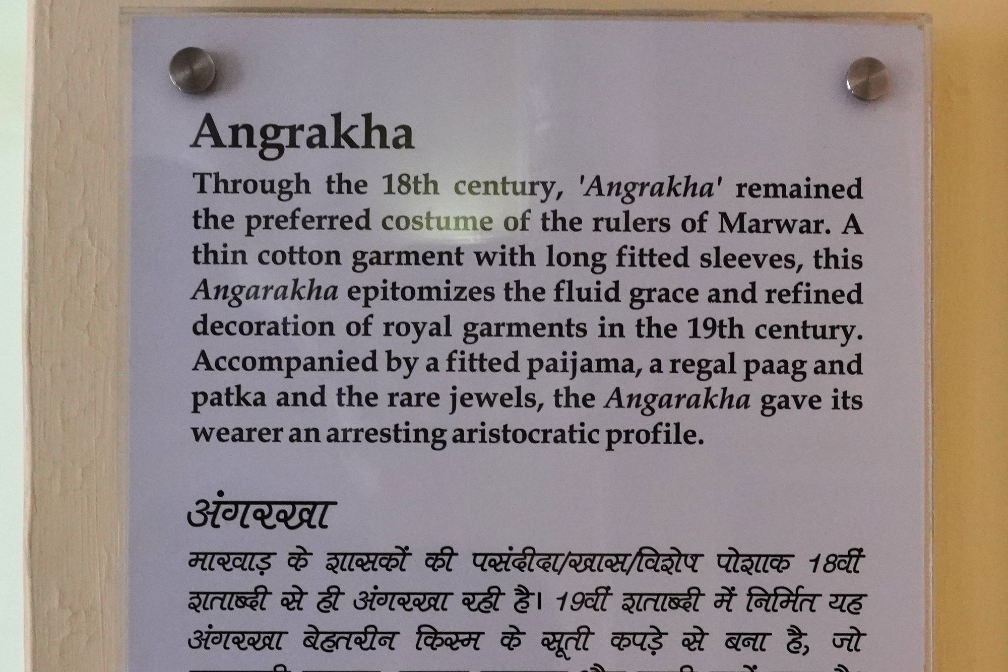 Mehrangarh Fort (119)