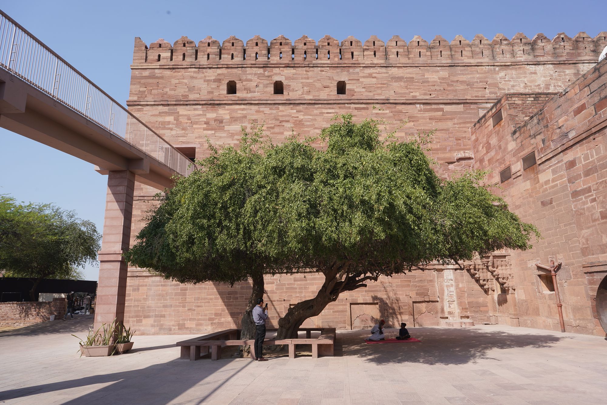 Mehrangarh Fort (182)