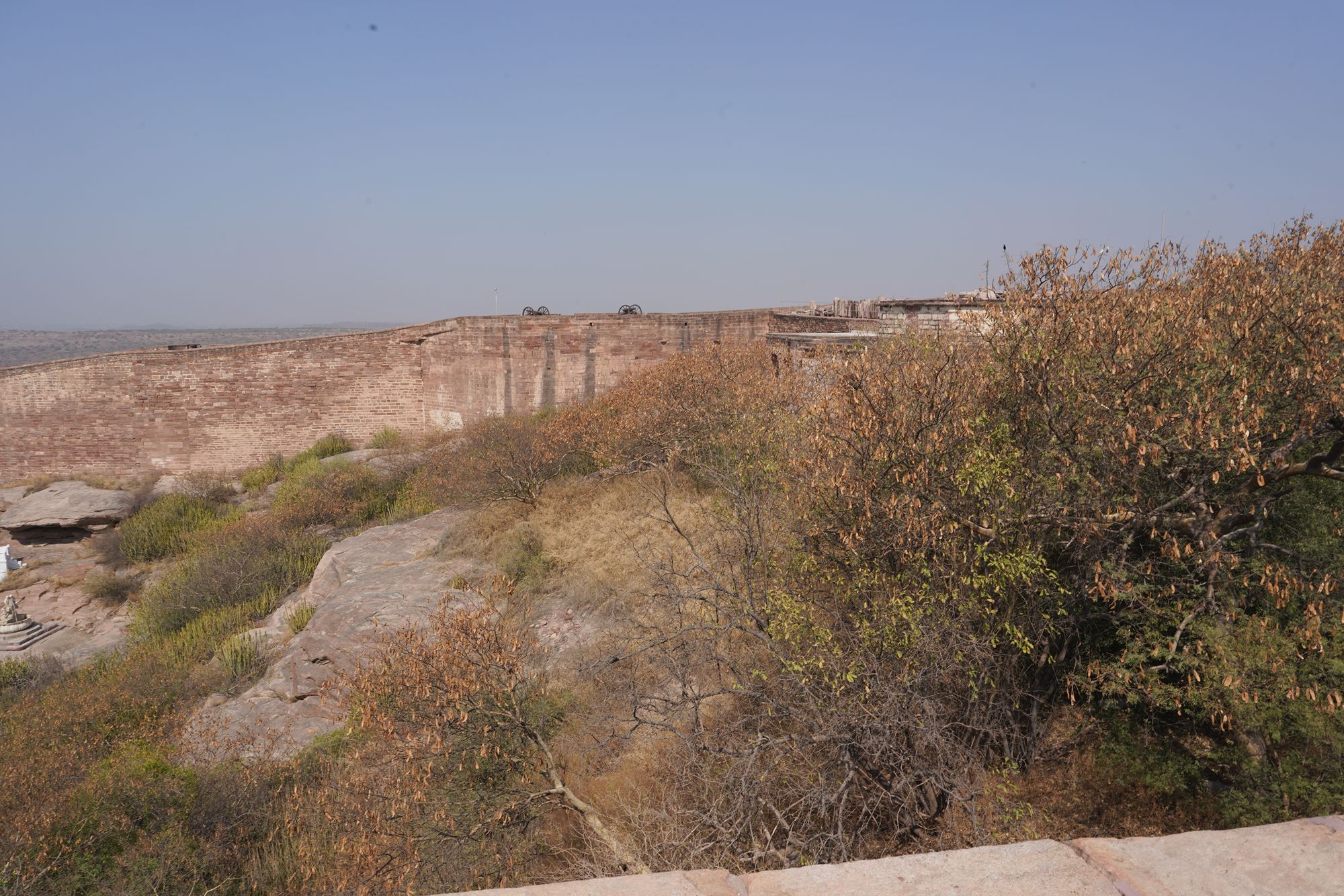 Mehrangarh Fort (193)