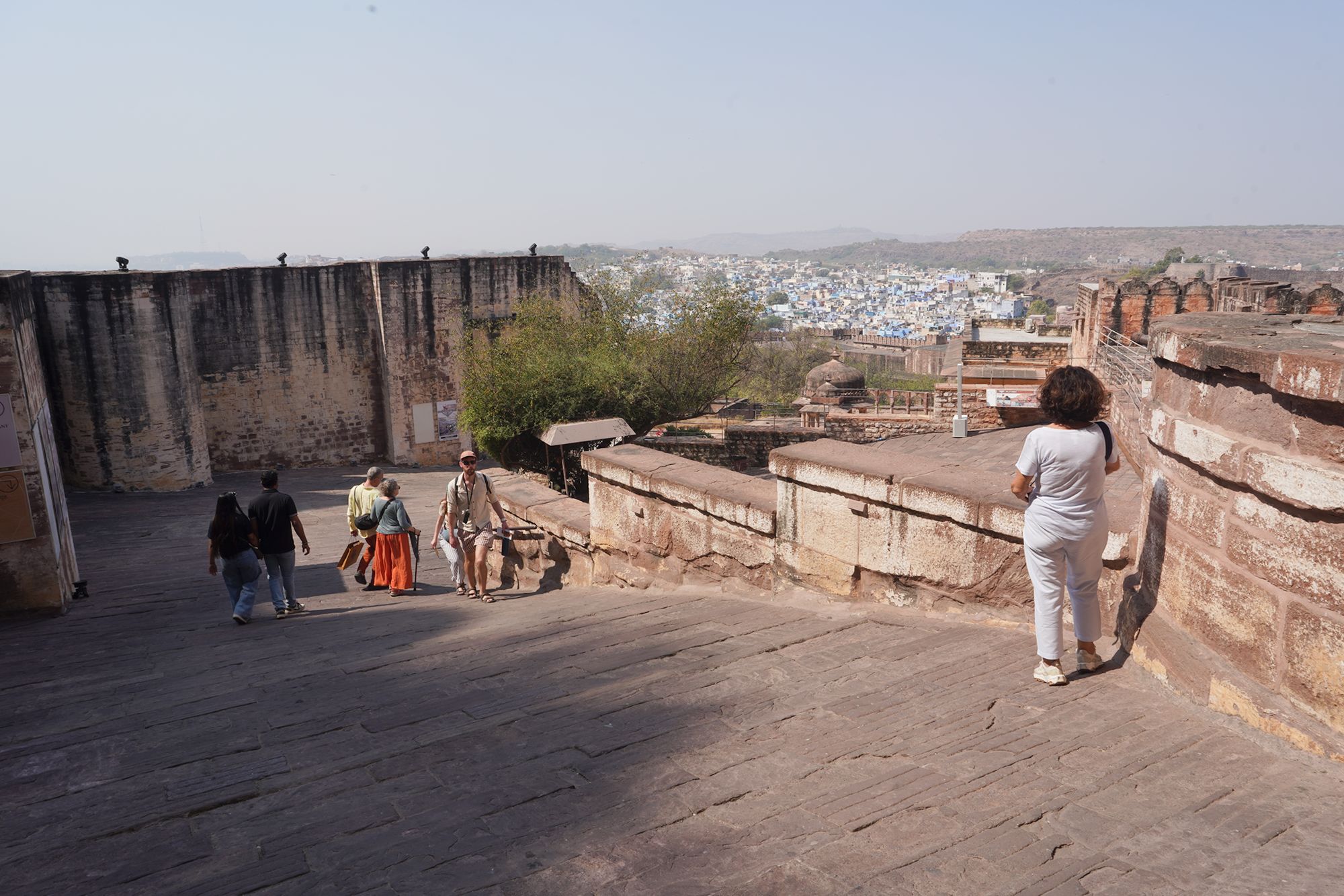 Mehrangarh Fort (215)