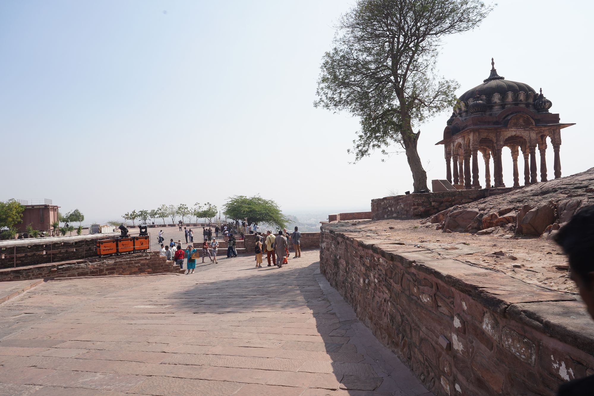 Mehrangarh Fort (221)