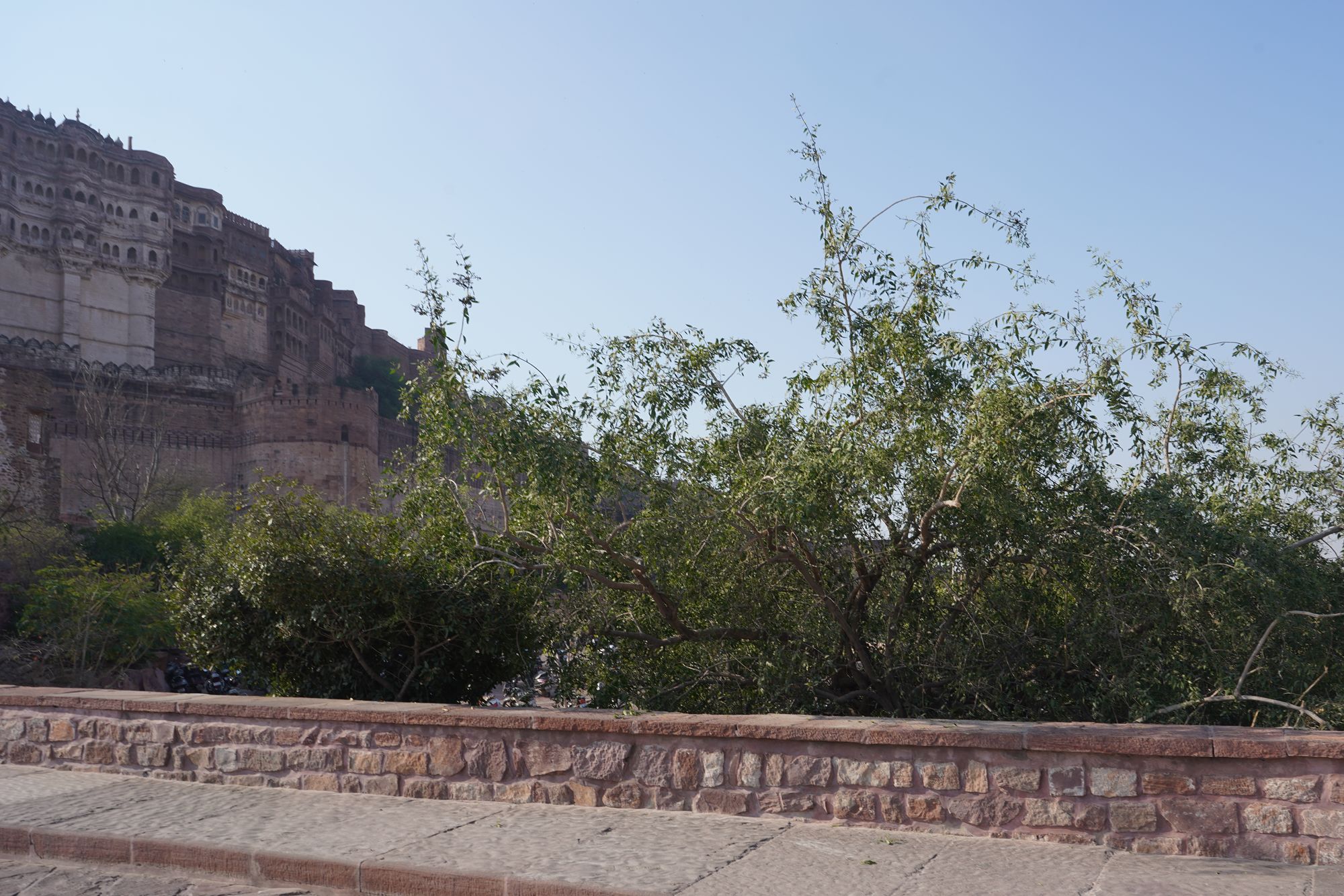 Mehrangarh Fort (3)