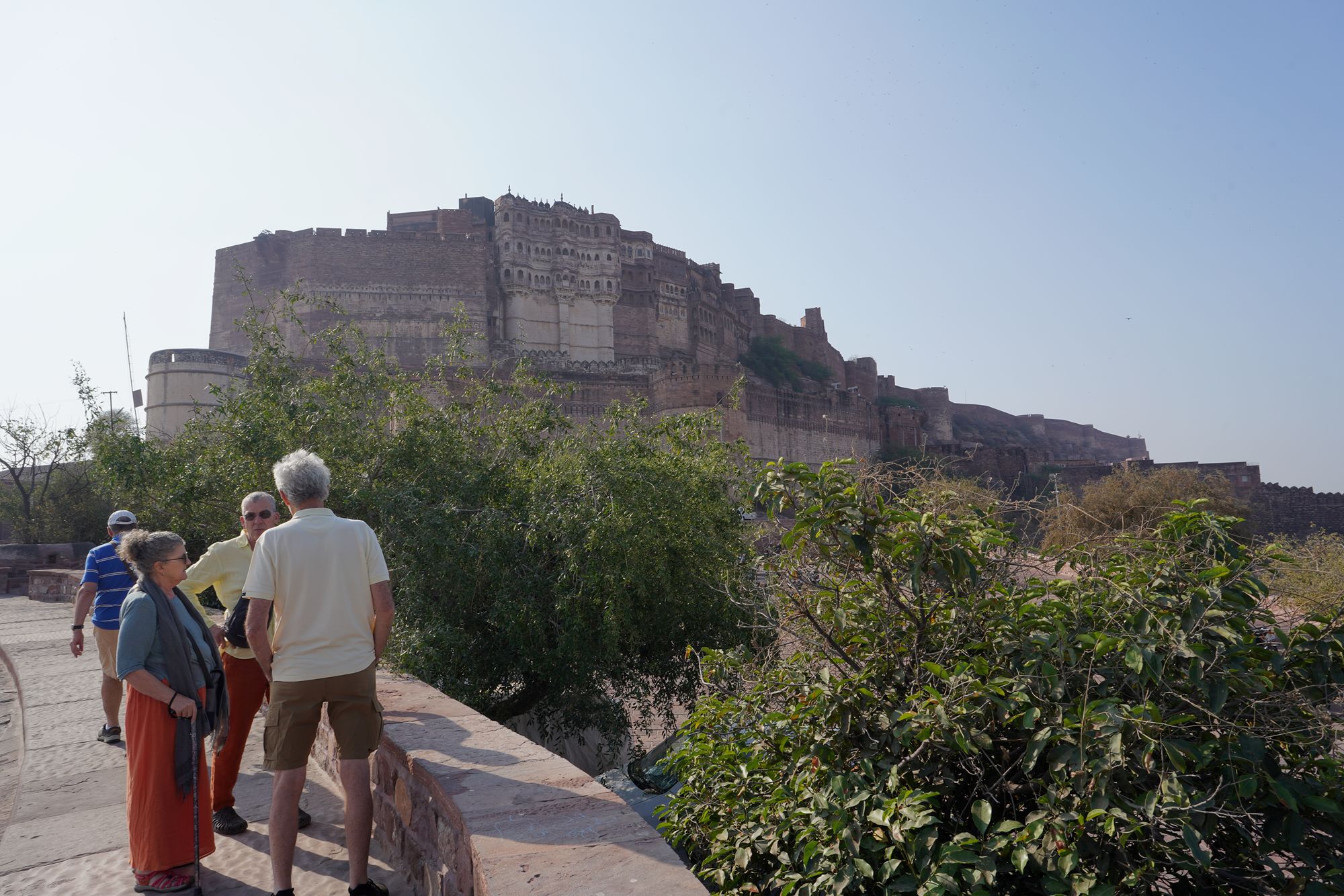 Mehrangarh Fort (5)