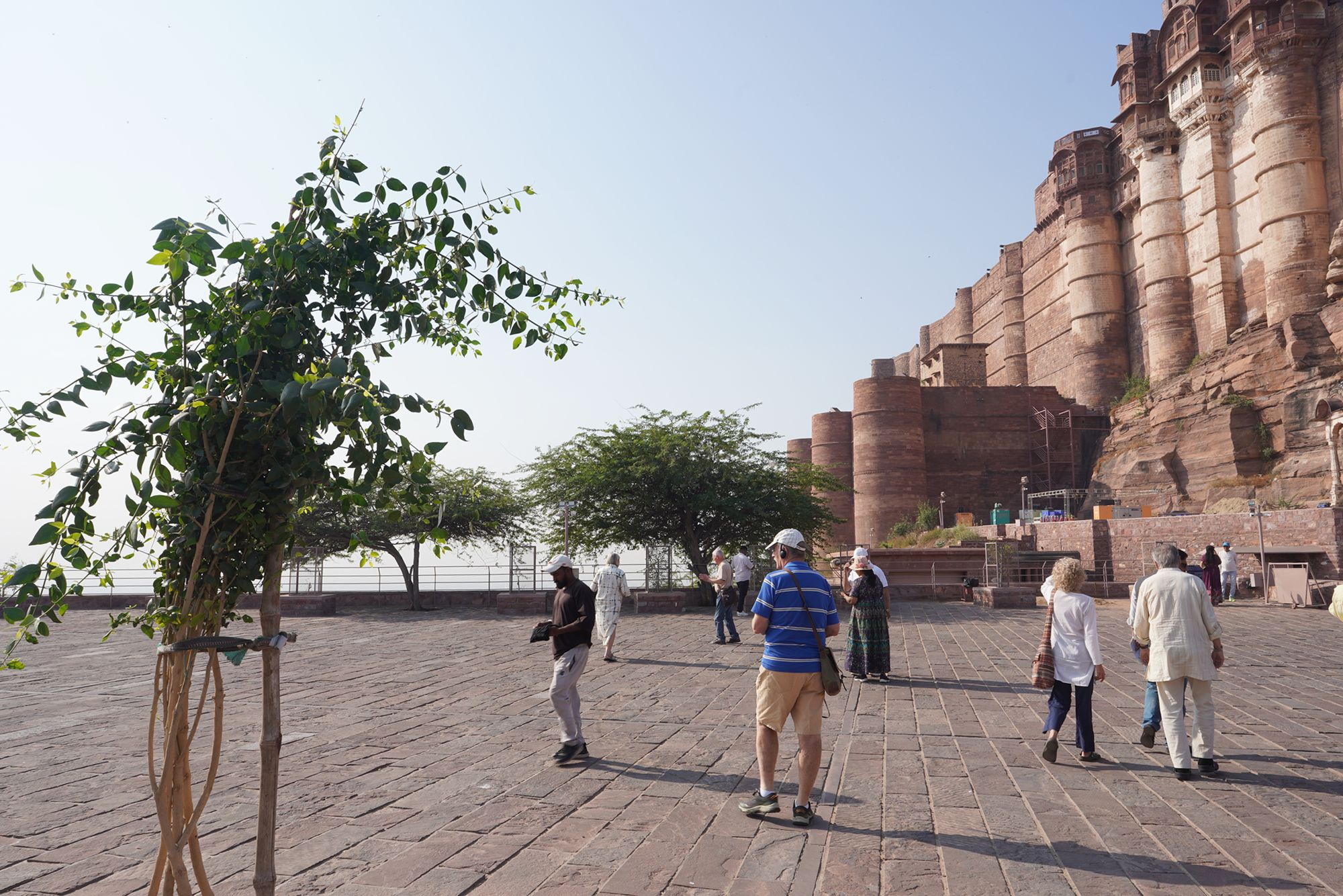 Mehrangarh Fort (9)