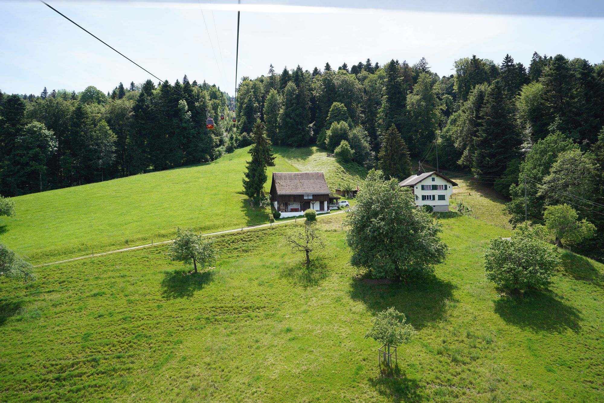 Mt. Pilatus (13)